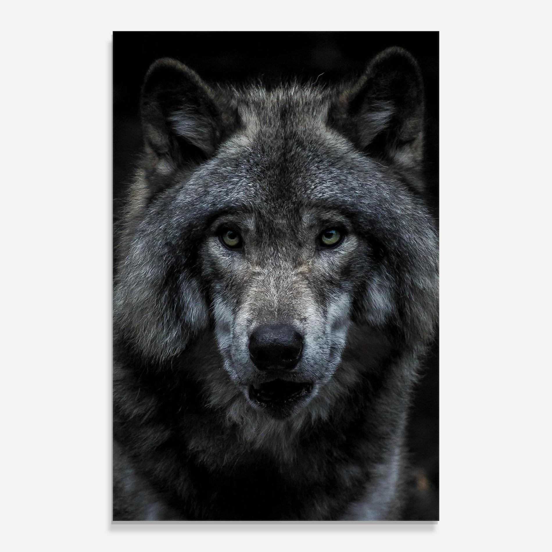 Tablou Sticla Angry Wolf mockup 0