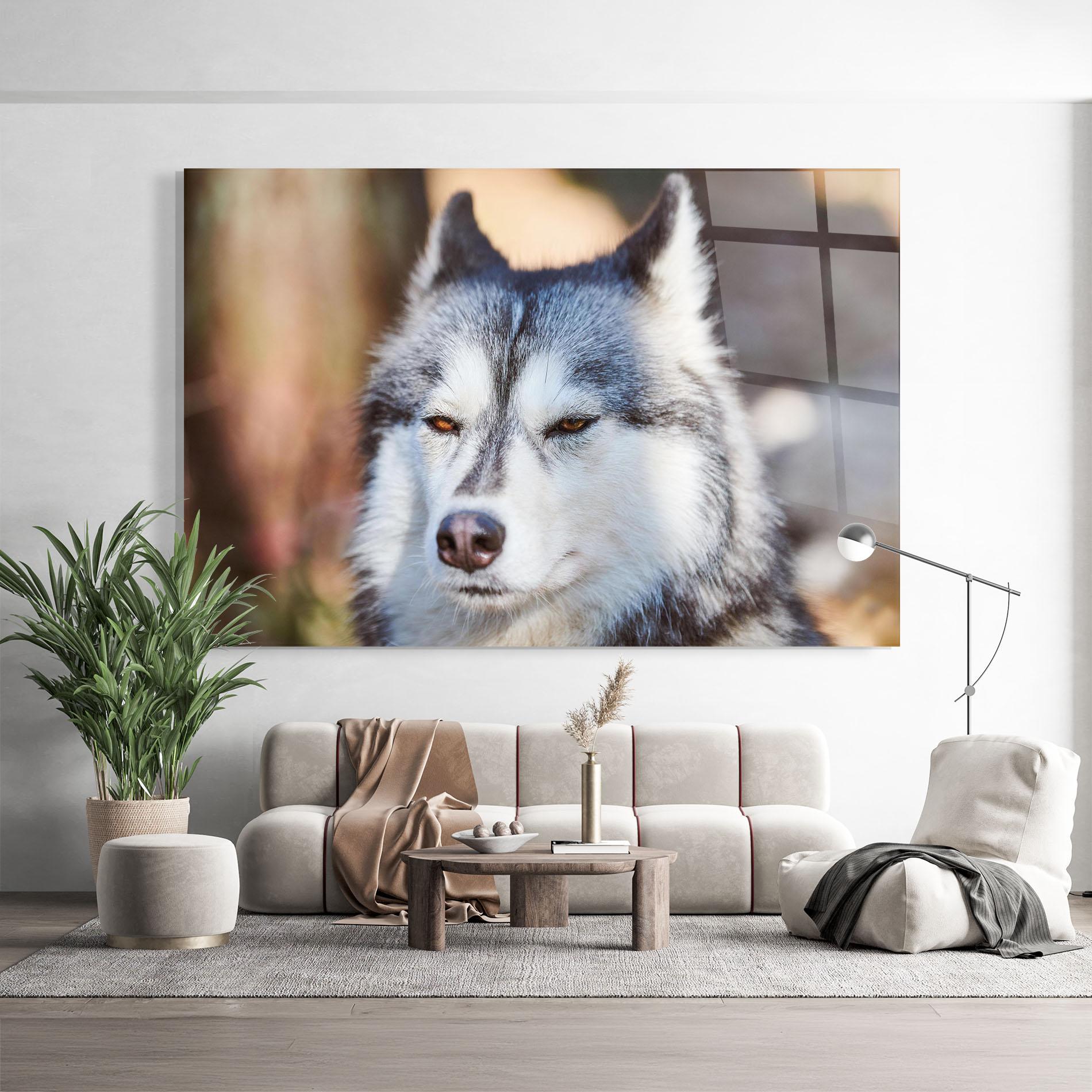 Tablou Sticla Annoyed Wolf mockup 9