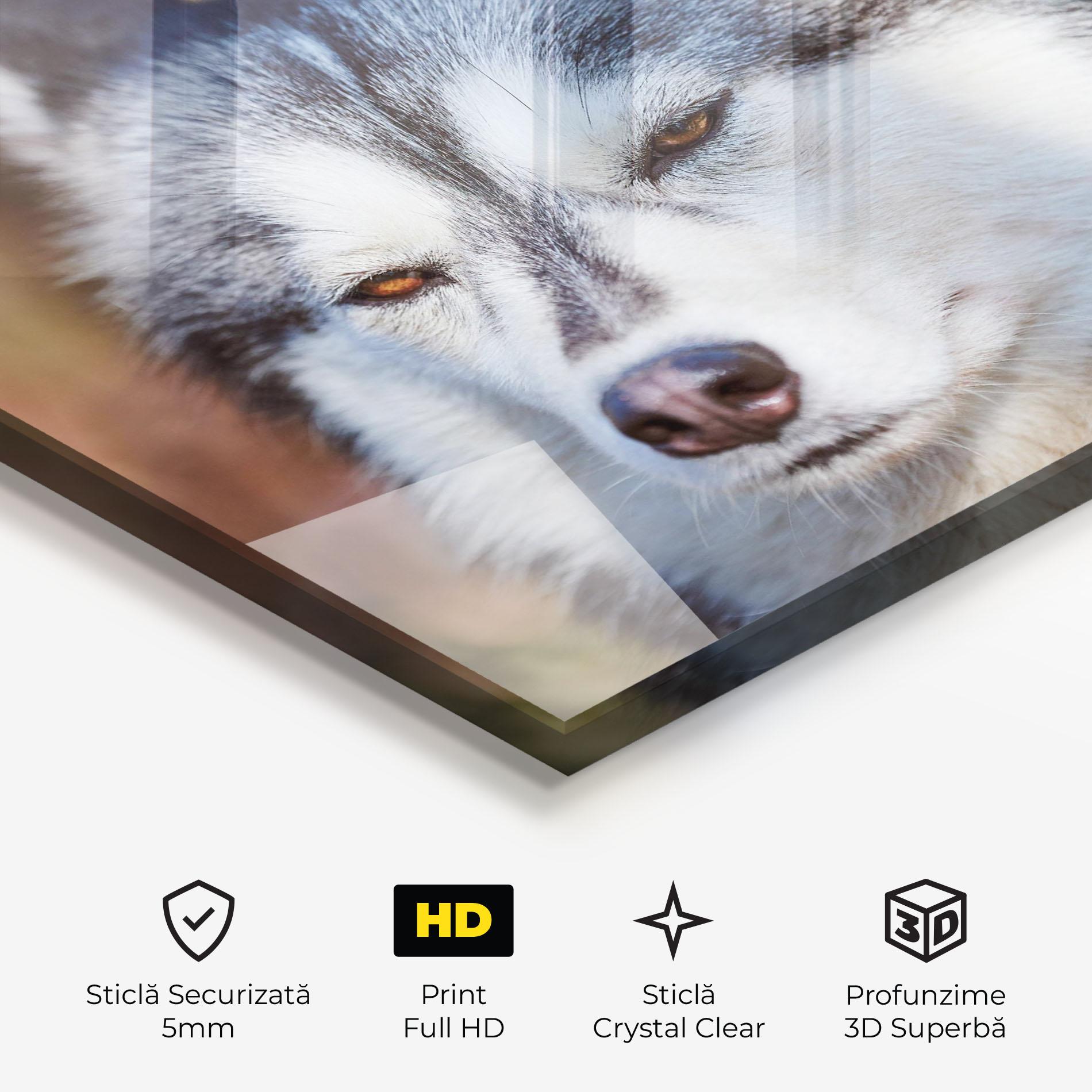 Tablou Sticla Annoyed Wolf mockup 3