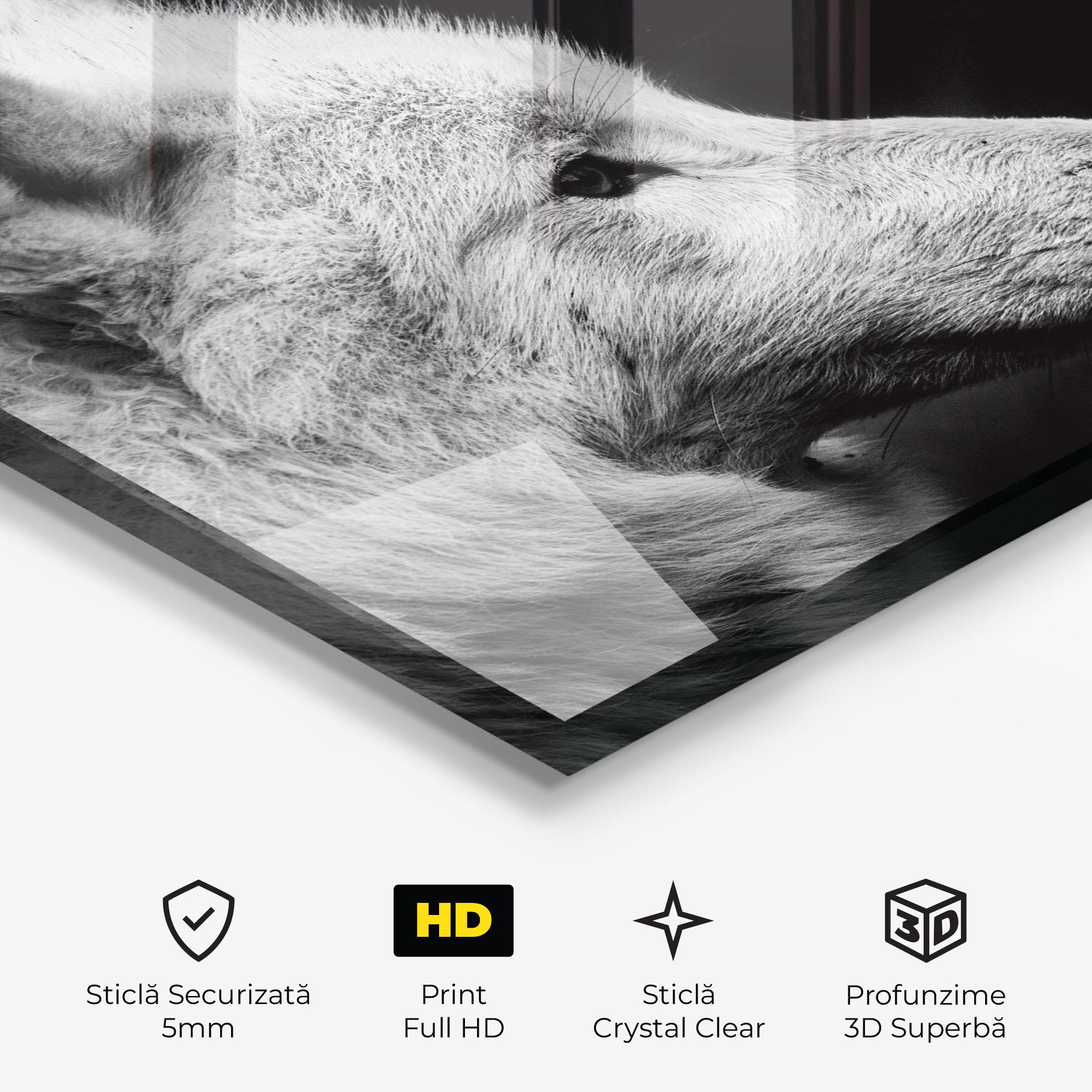 Tablou Sticla Grey Wolf mockup 3