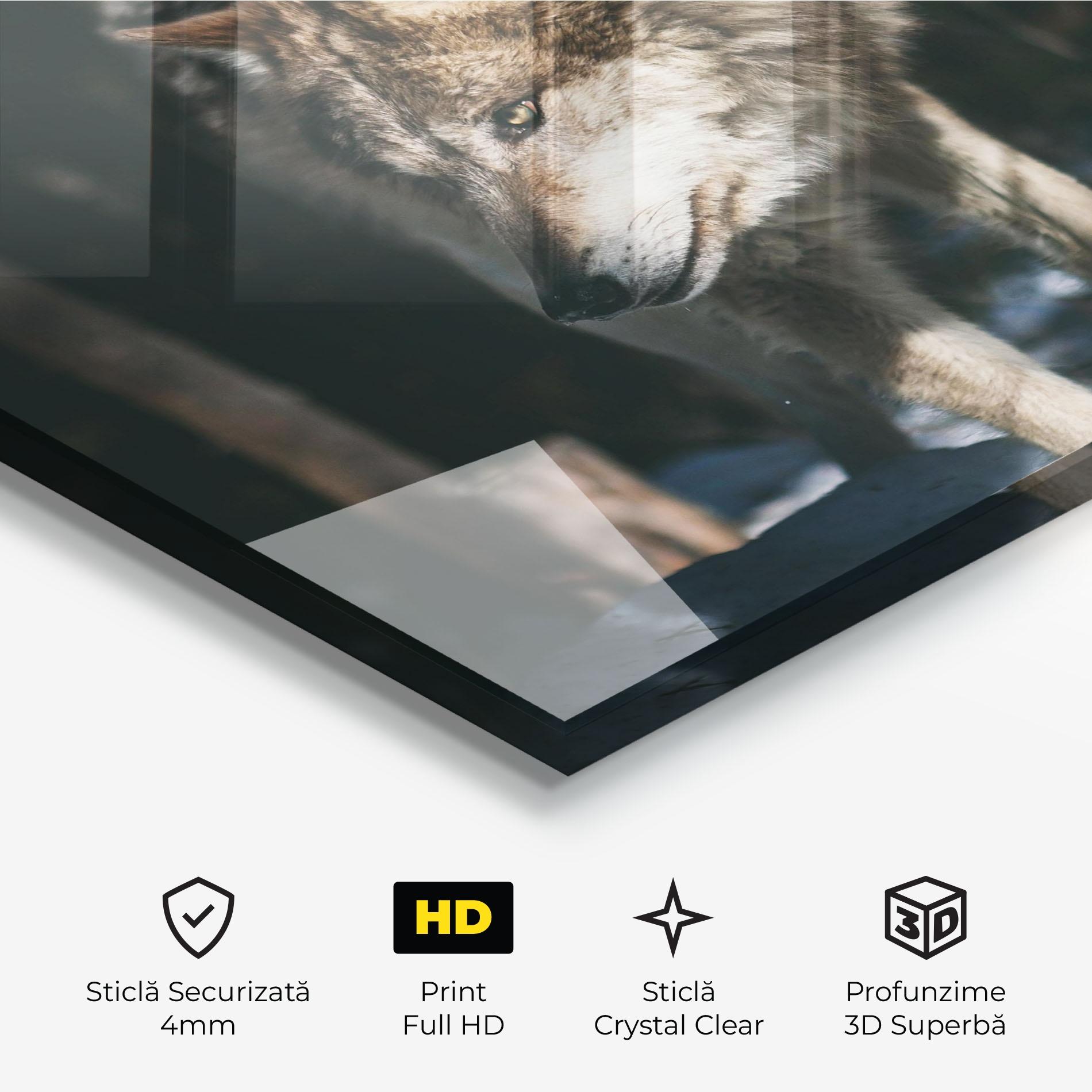 Tablou Sticla Forest Wolf mockup 3
