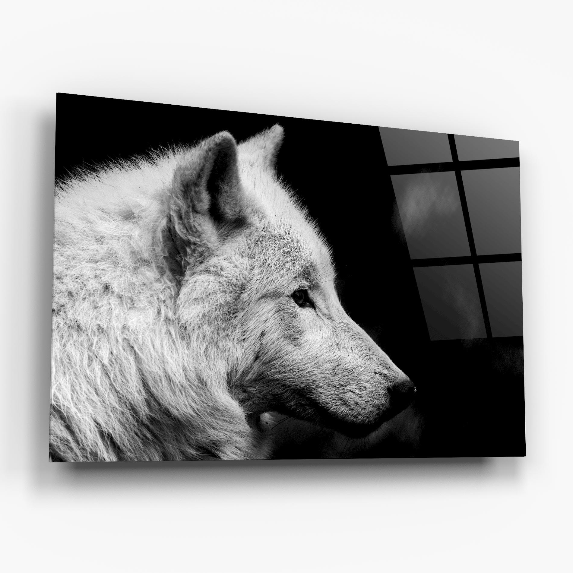 Tablou Sticla Grey Wolf mockup 6