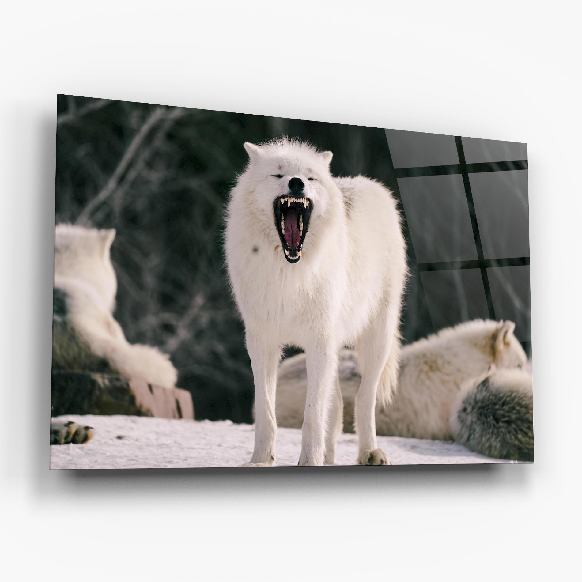 Tablou Sticla Laughing White Wolf mockup 6