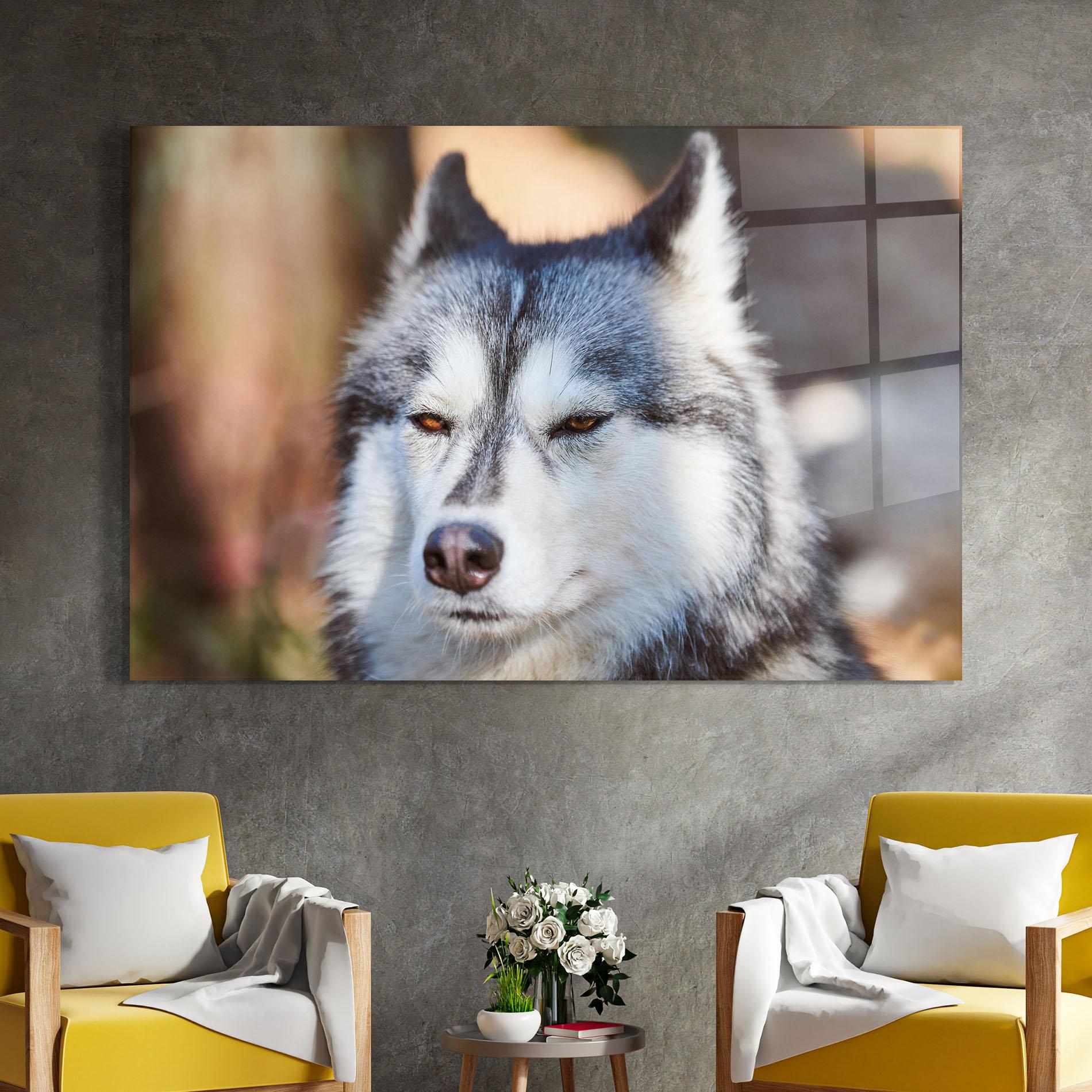 Tablou Sticla Annoyed Wolf mockup 4