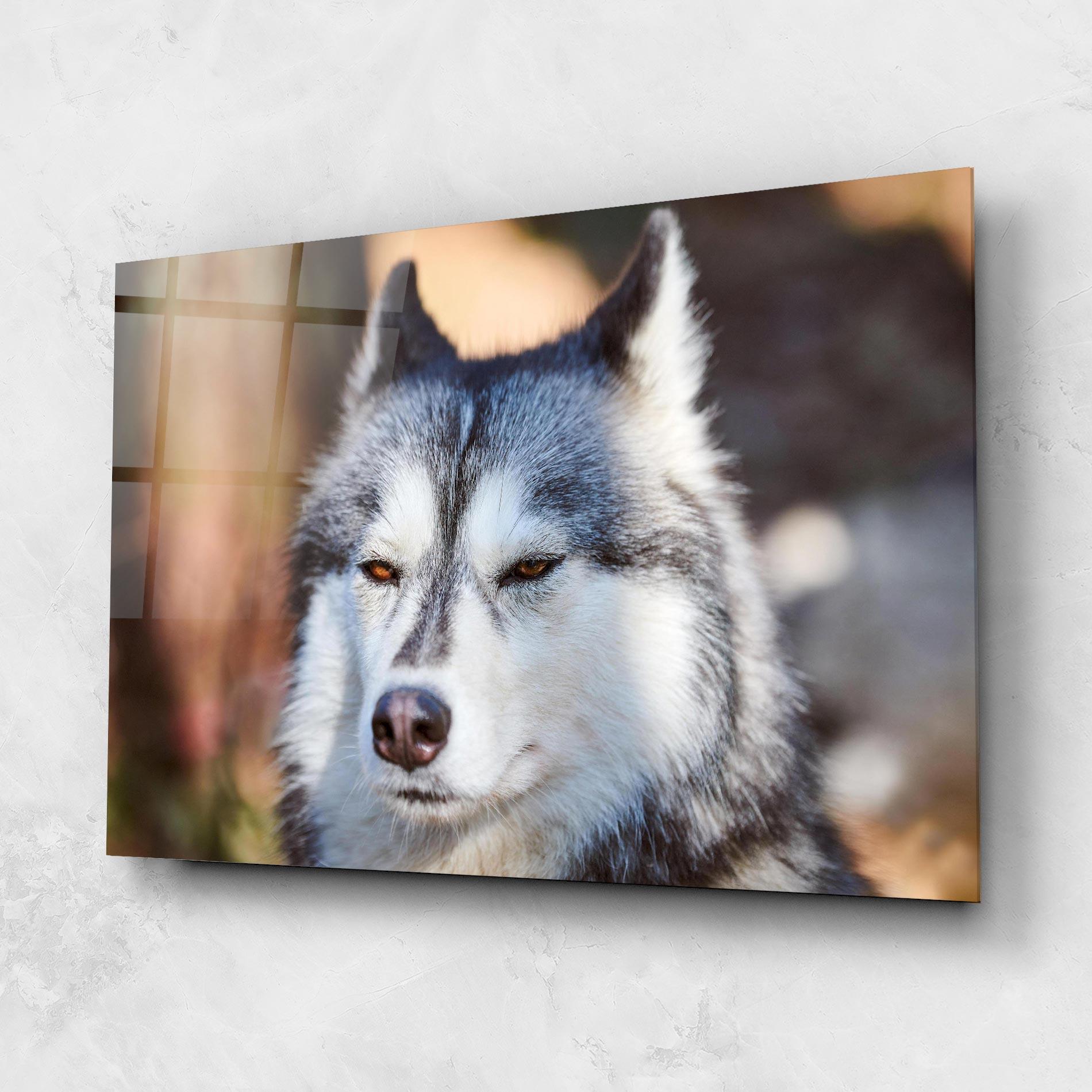 Tablou Sticla Annoyed Wolf mockup 1