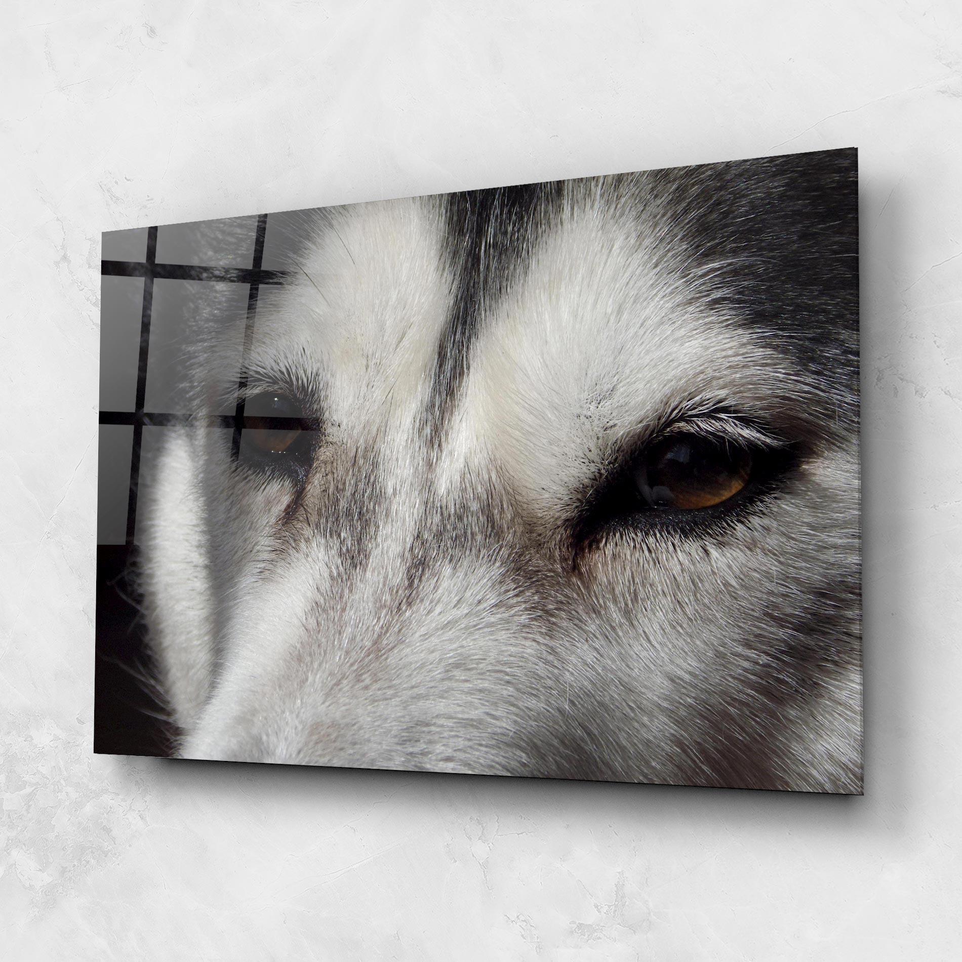 Tablou Sticla Close Up Wolf mockup 1