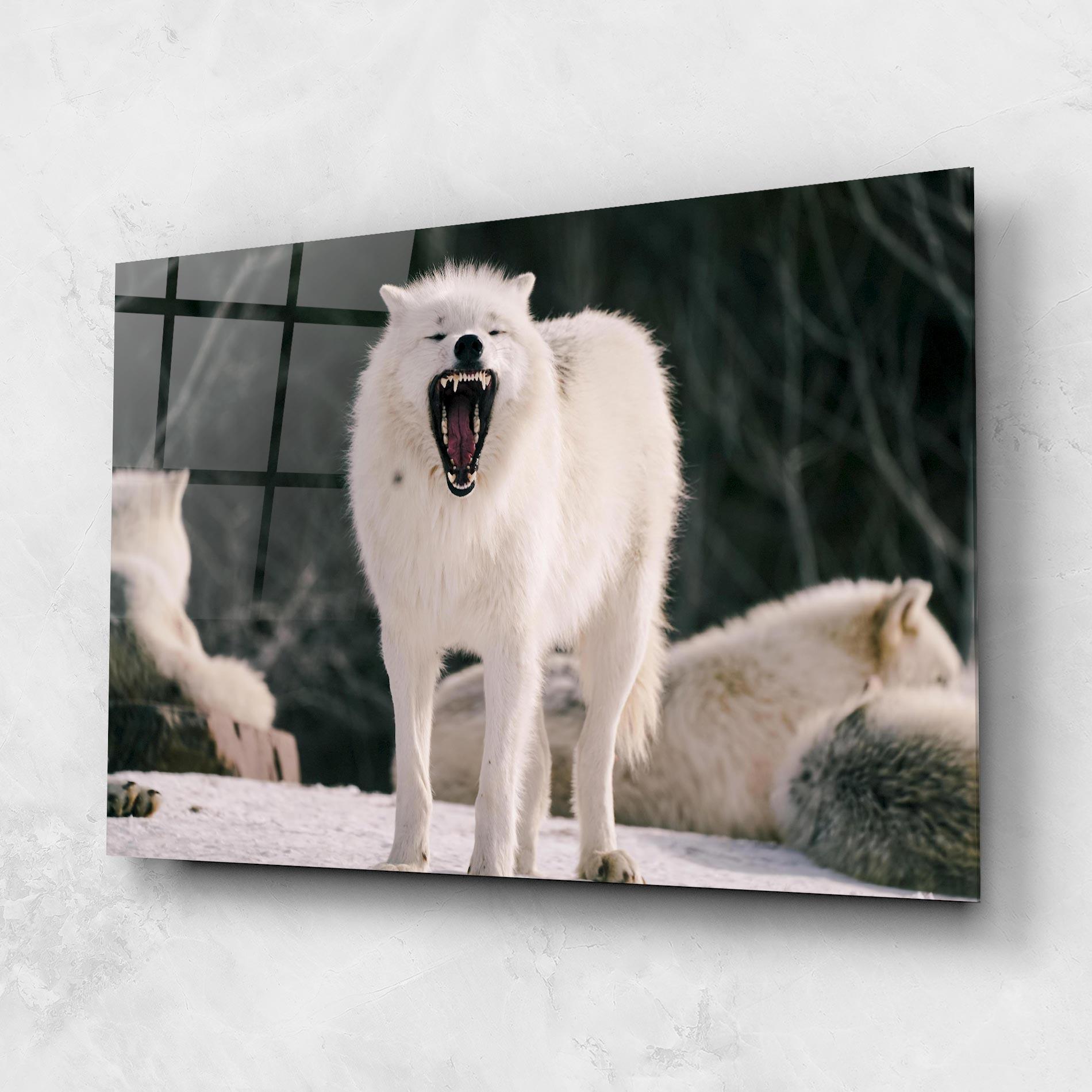 Tablou Sticla Laughing White Wolf mockup 1