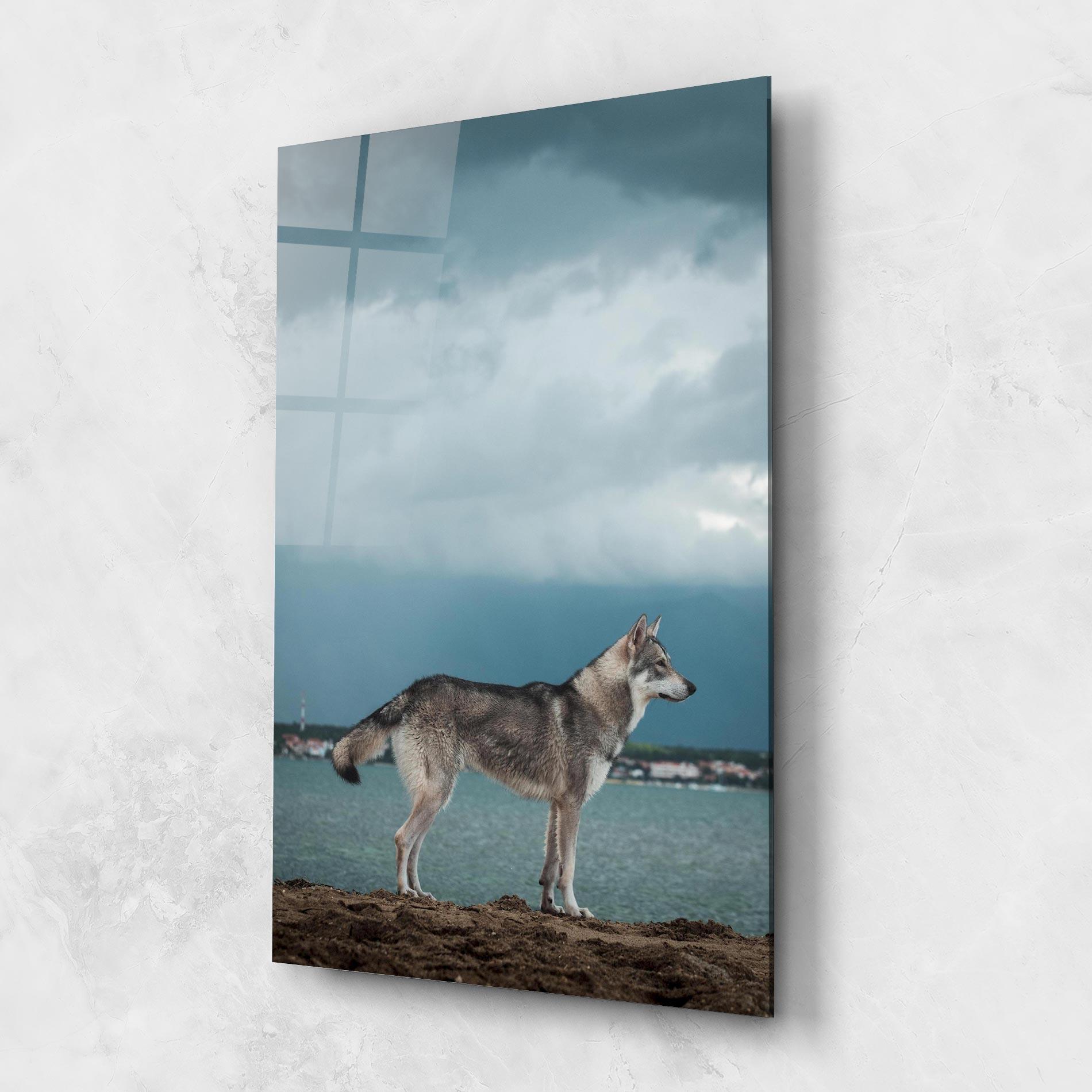 Tablou Sticla Grey Wolf Looking mockup 1