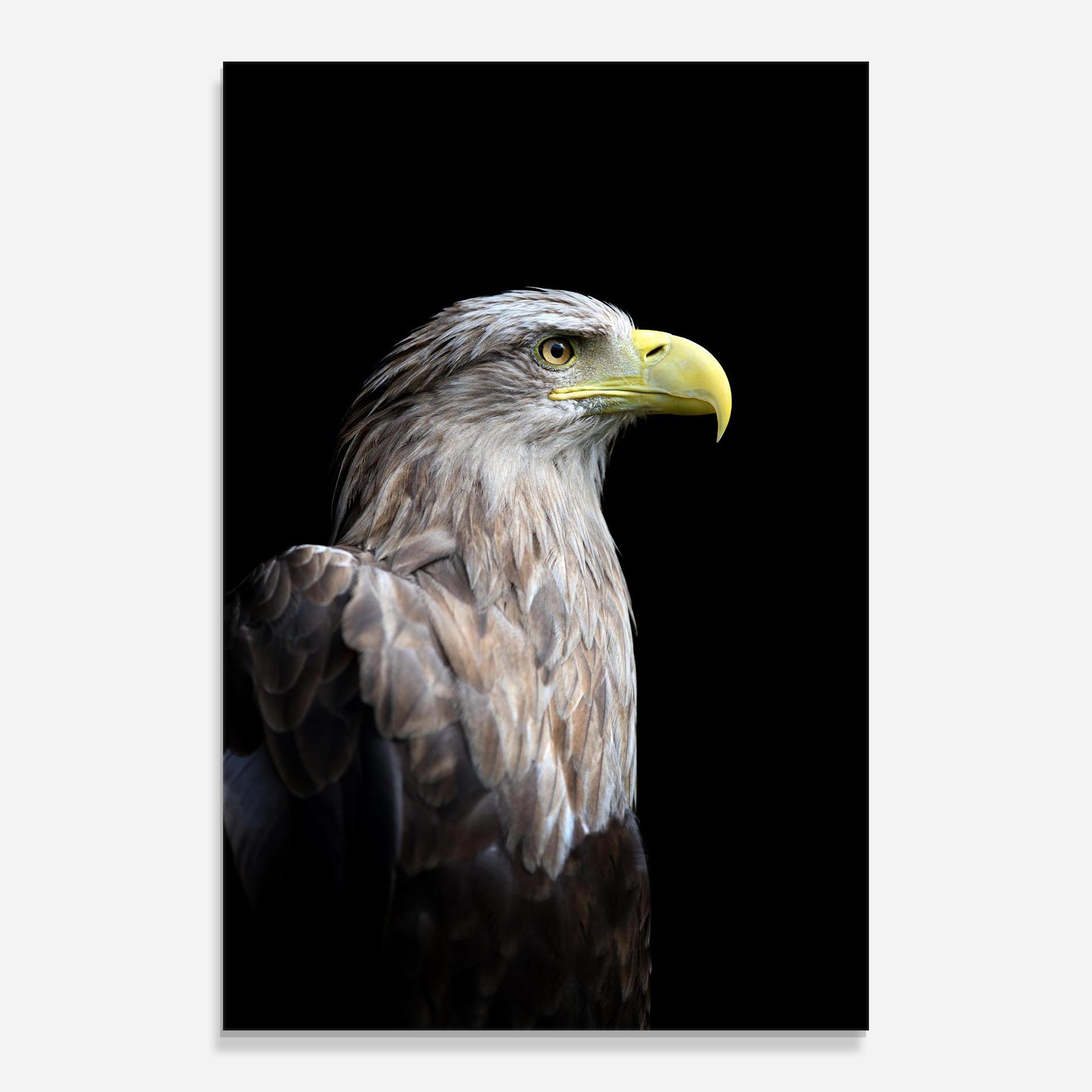 Tablou Sticla Close Up Eagle mockup 0
