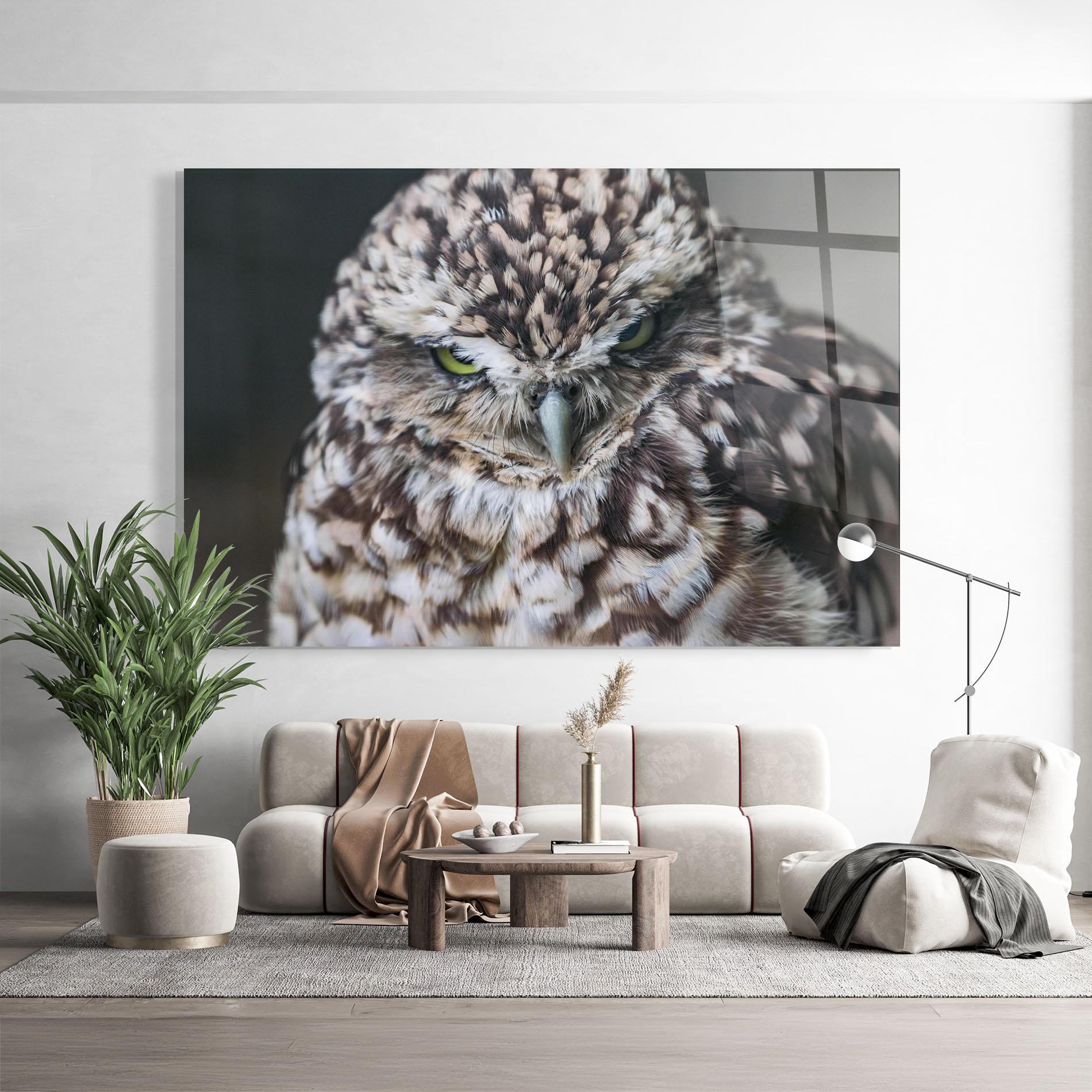 Tablou Sticla Angry Little Owl mockup 9