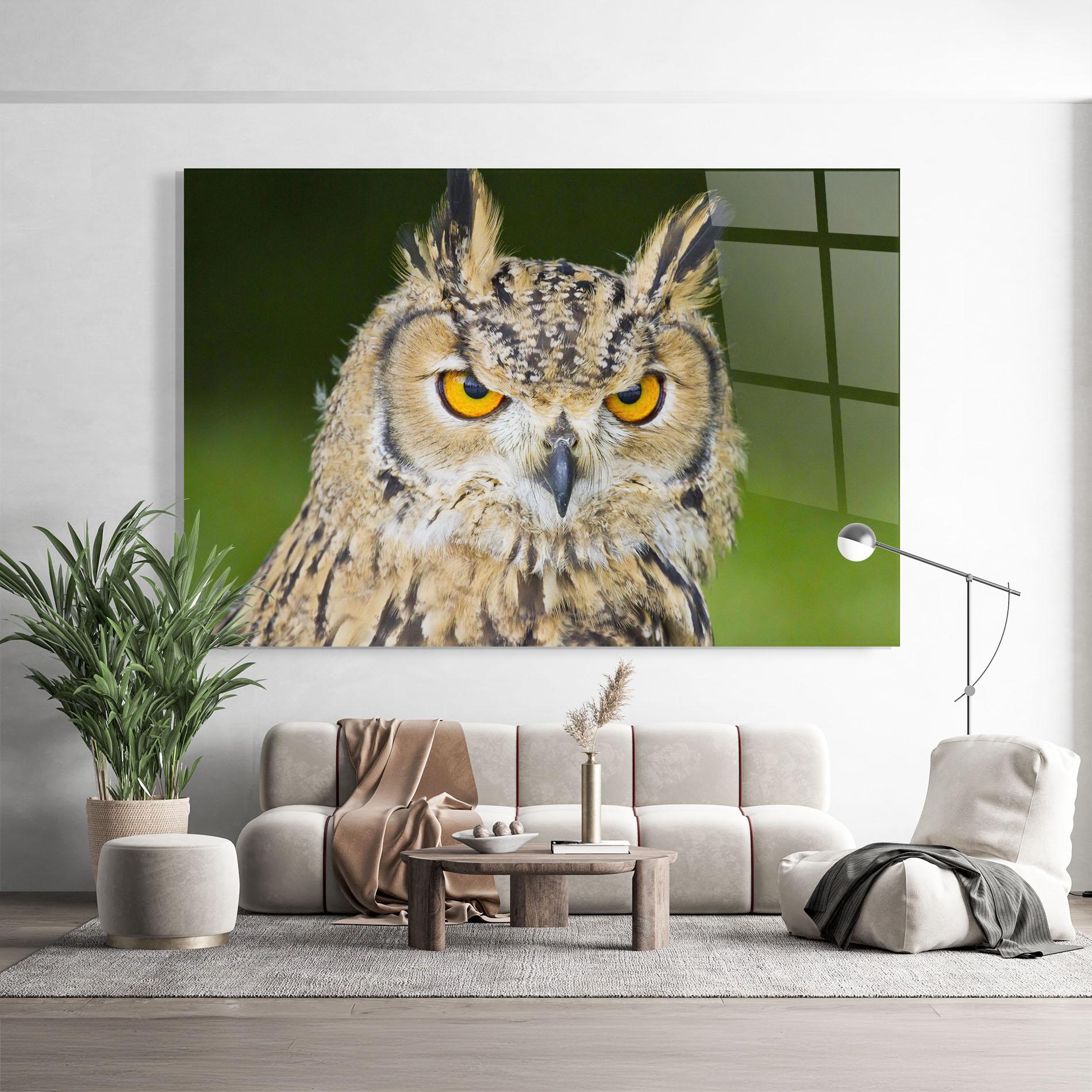 Tablou Sticla Angry Owl mockup 9
