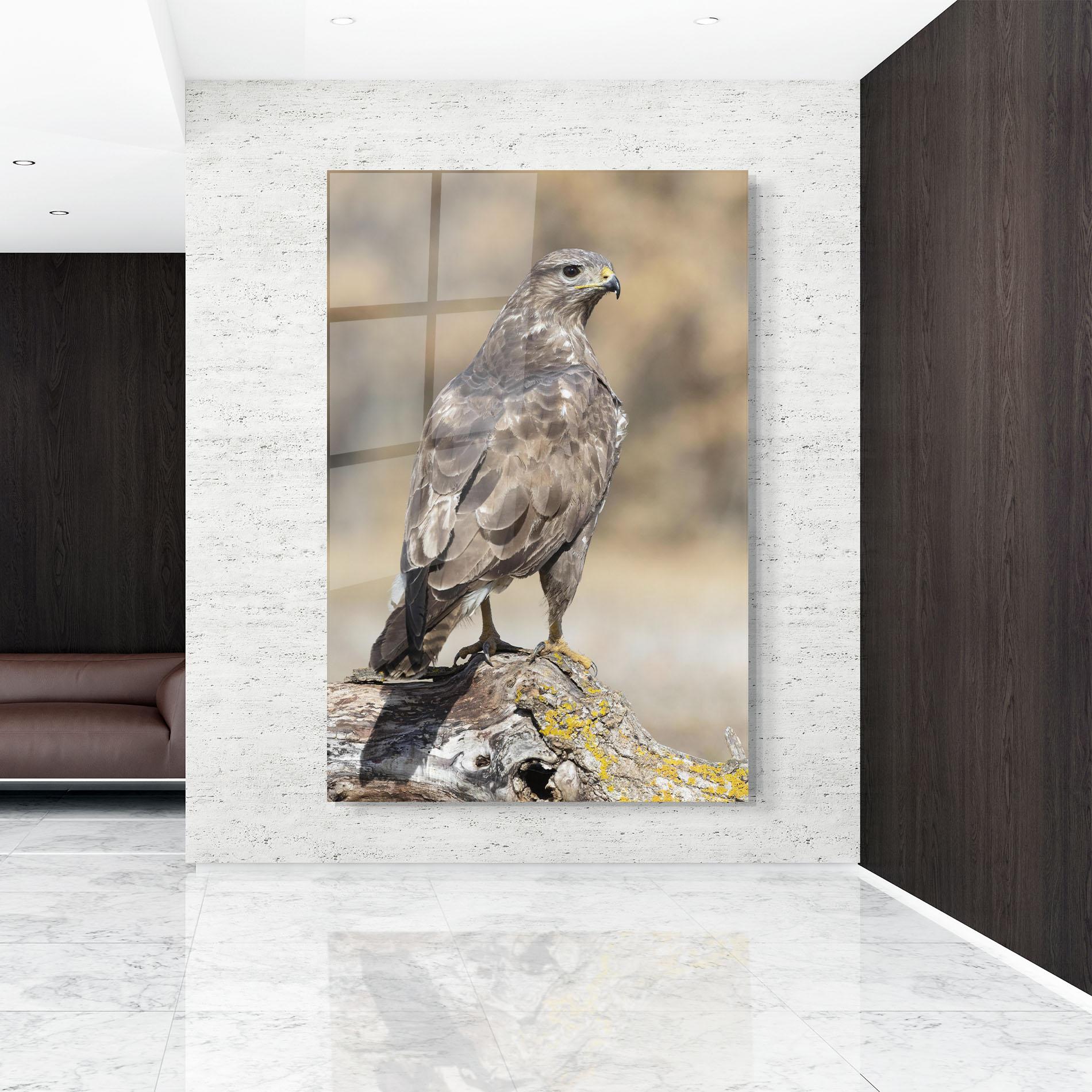 Tablou Sticla Eagle Nature mockup 9