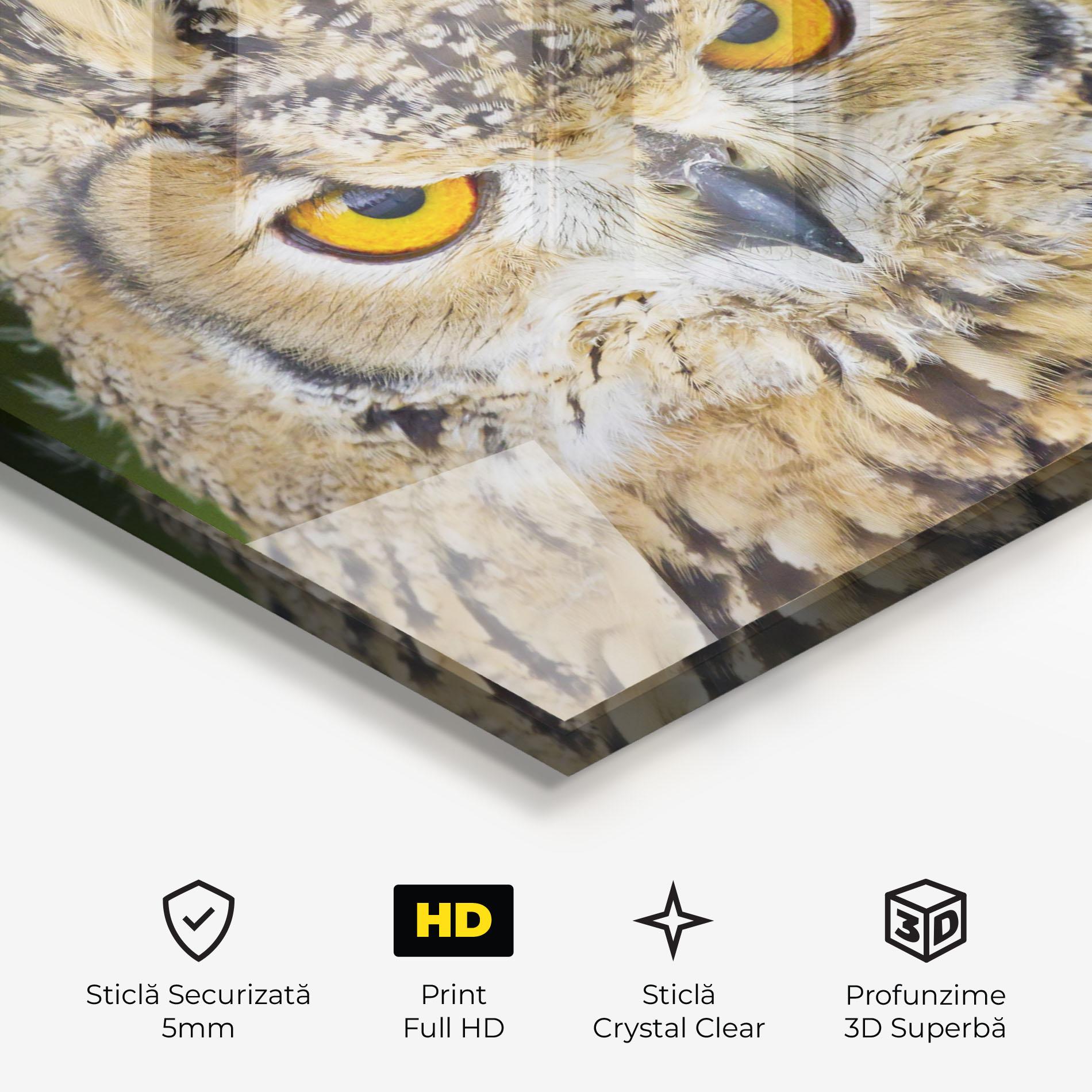 Tablou Sticla Angry Owl mockup 3