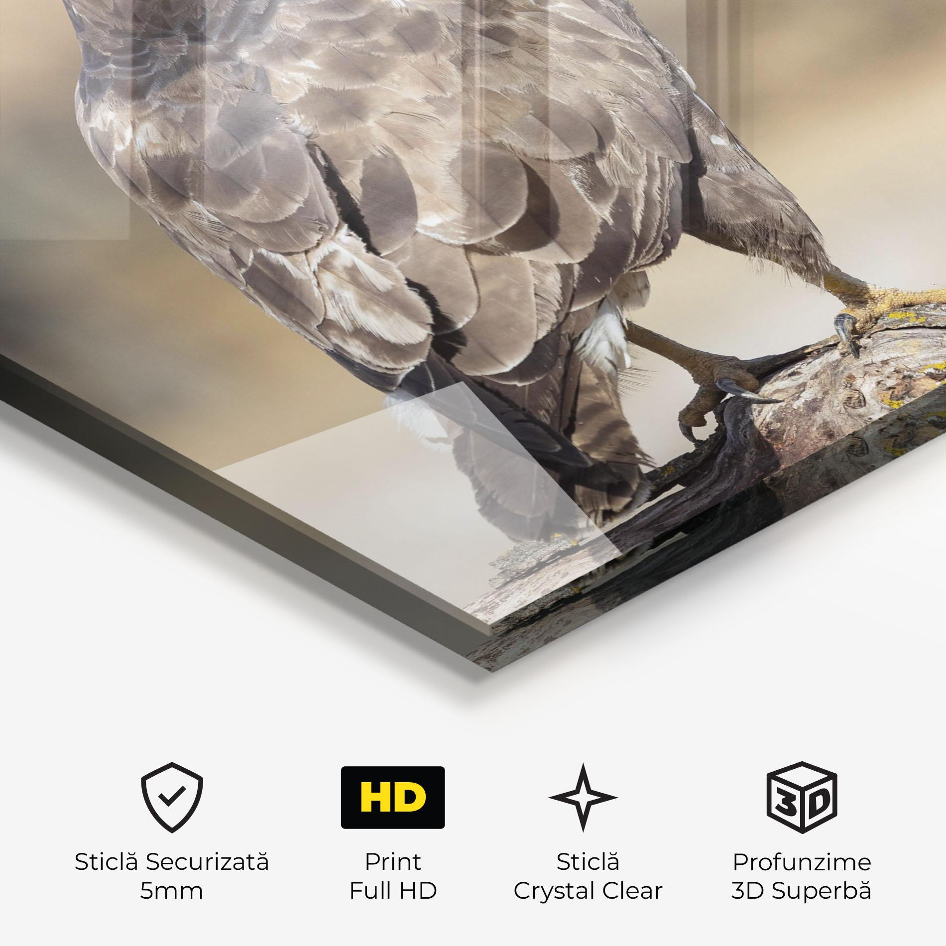 Tablou Sticla Eagle Nature mockup 3