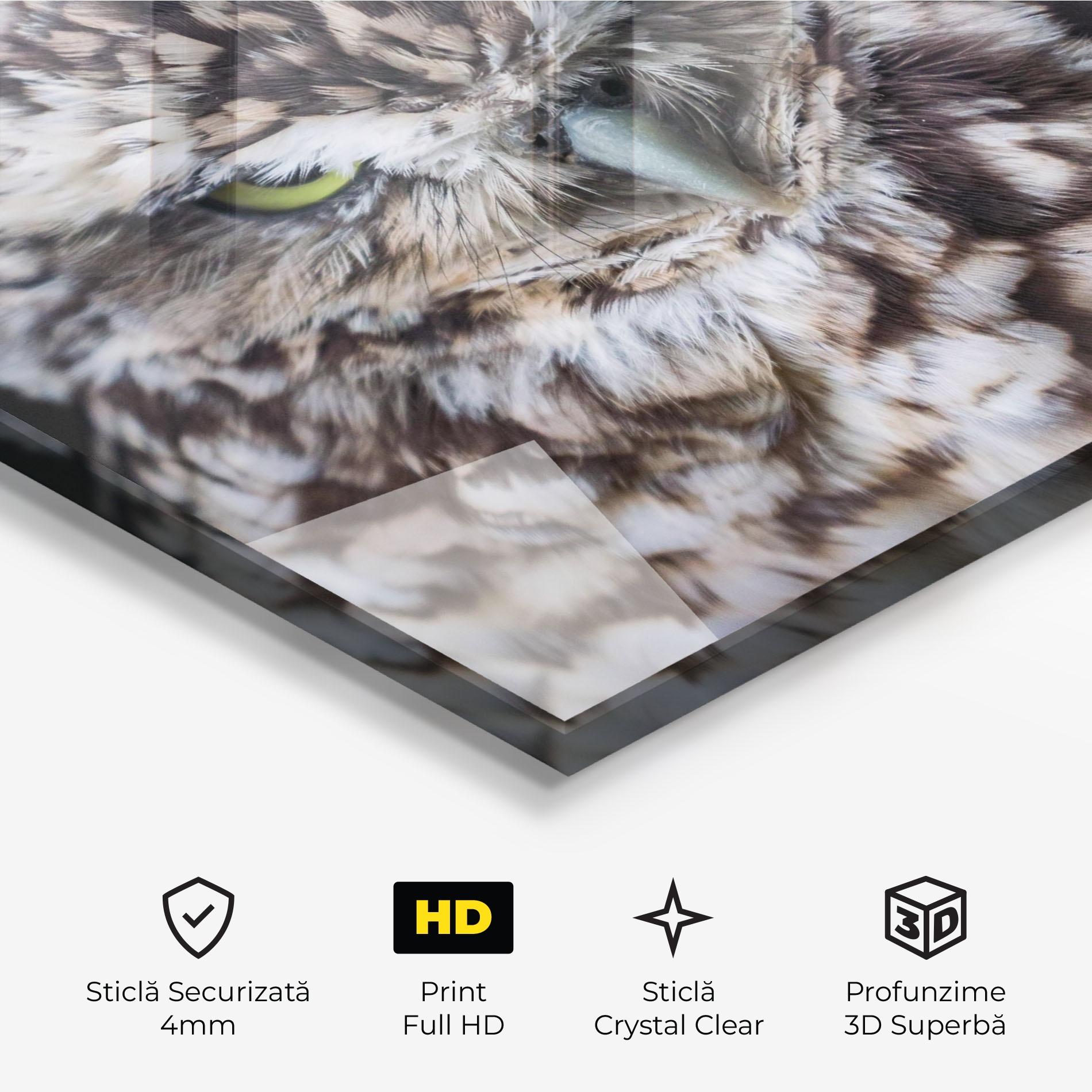 Tablou Sticla Angry Little Owl mockup 3