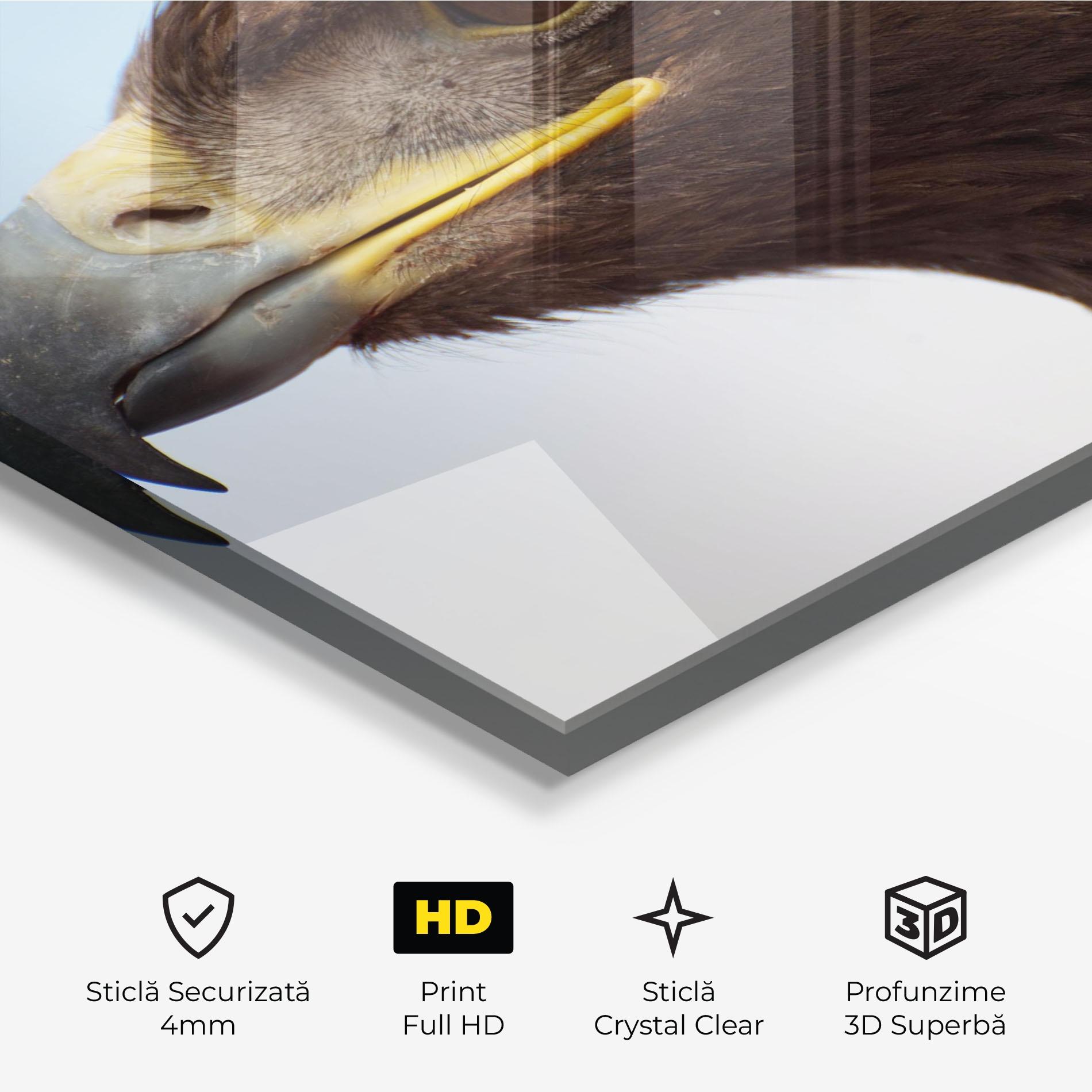 Tablou Sticla Brown Head Eagle mockup 3