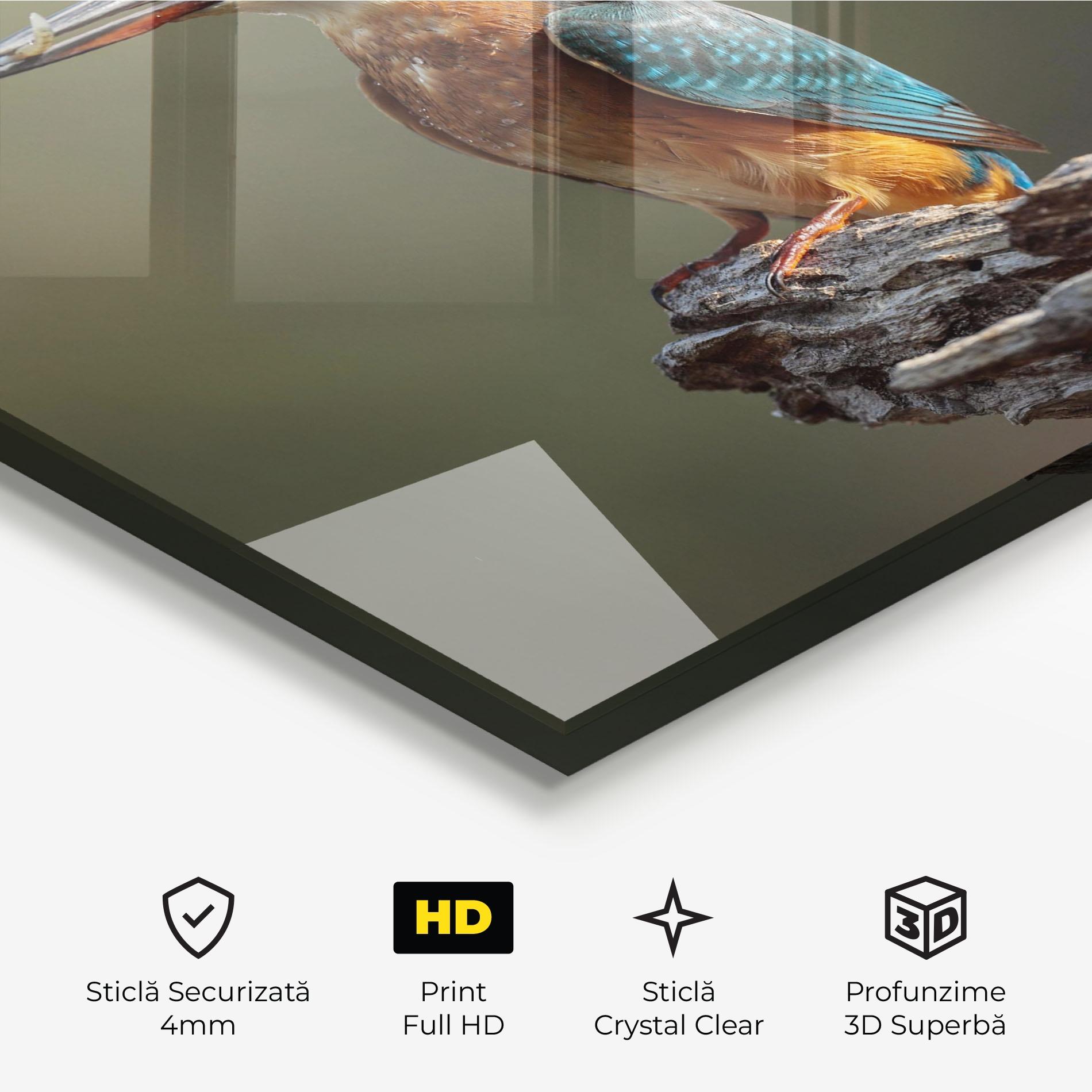 Tablou Sticla Female Kingfisher mockup 3