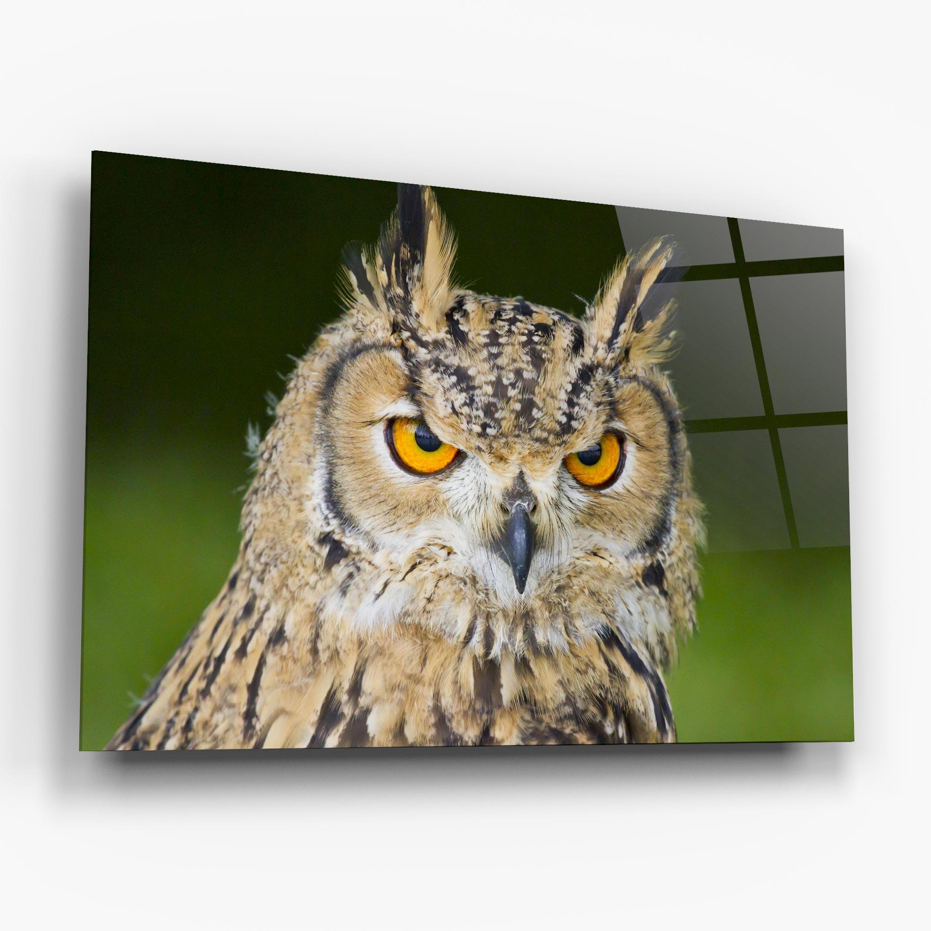 Tablou Sticla Angry Owl mockup 6