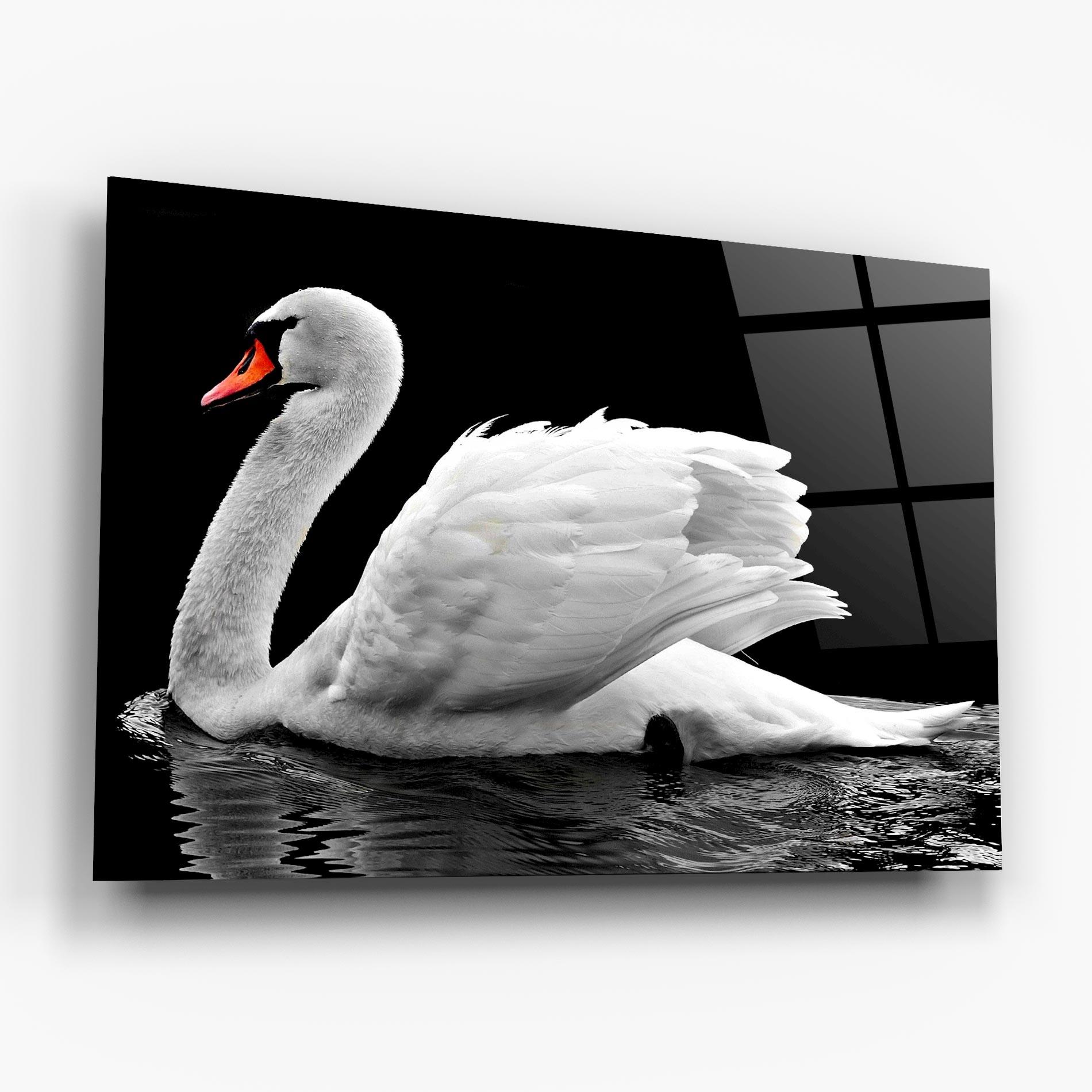Tablou Sticla Black And White Swan mockup 6
