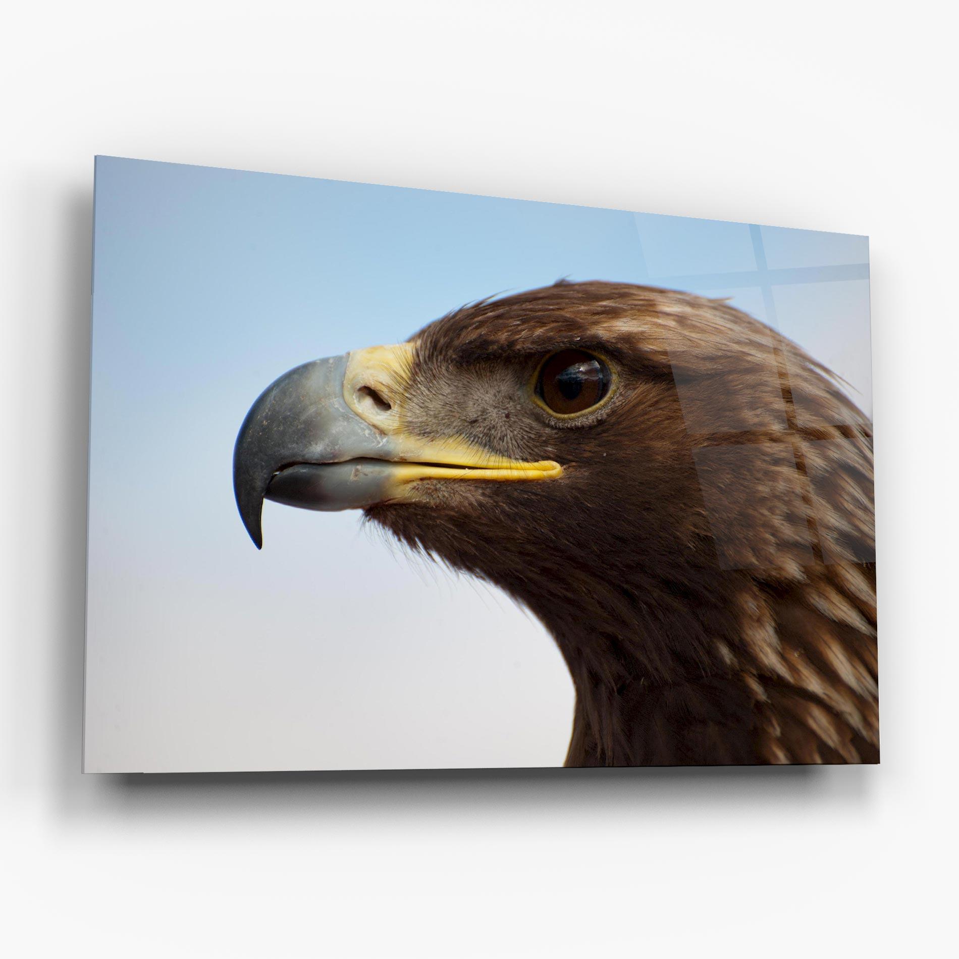 Tablou Sticla Brown Head Eagle mockup 6