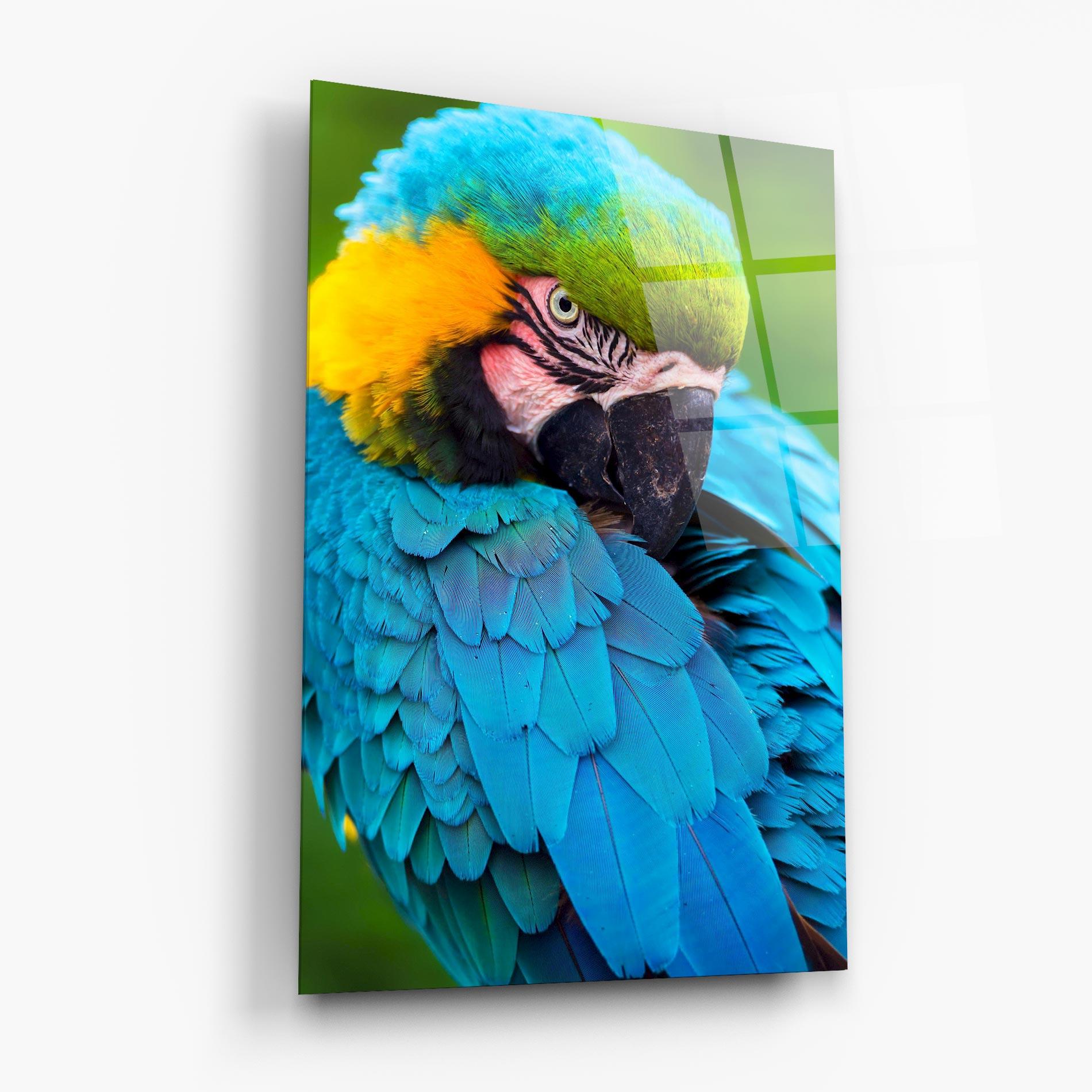 Tablou Sticla Blue Parrot mockup 6