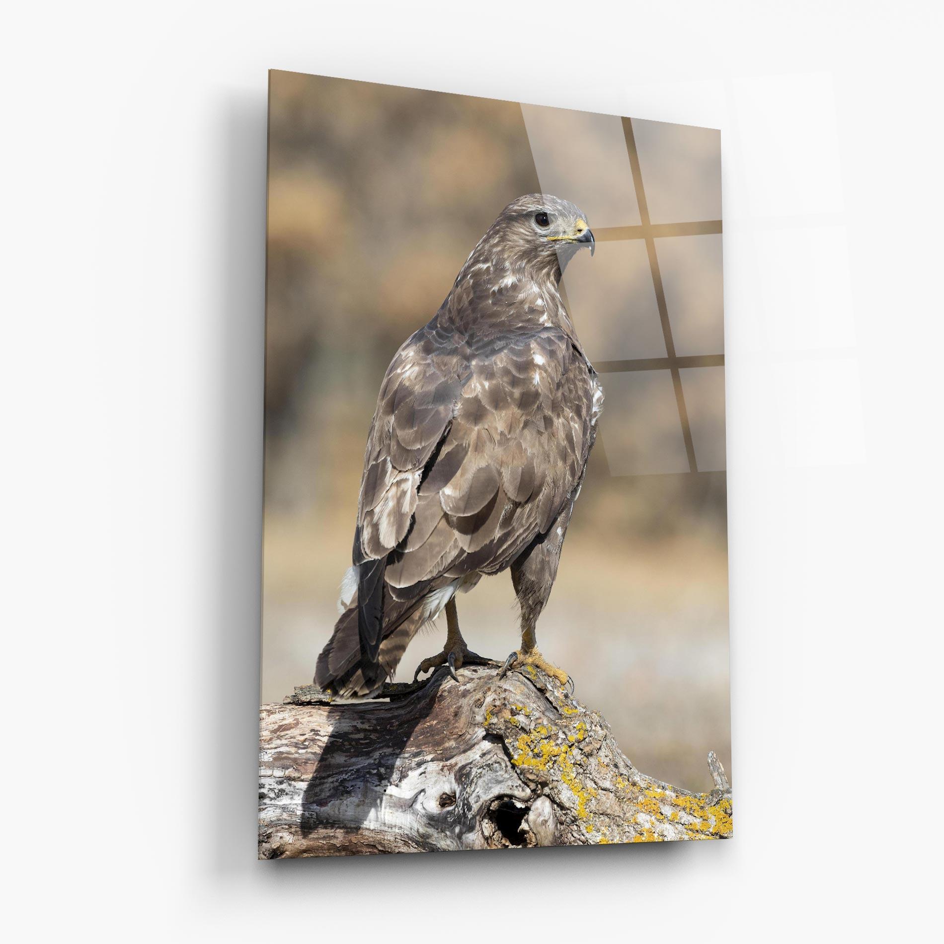 Tablou Sticla Eagle Nature mockup 6