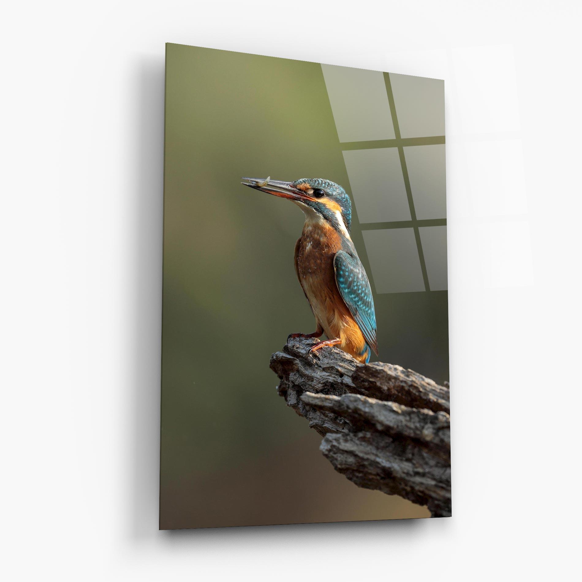 Tablou Sticla Female Kingfisher mockup 6