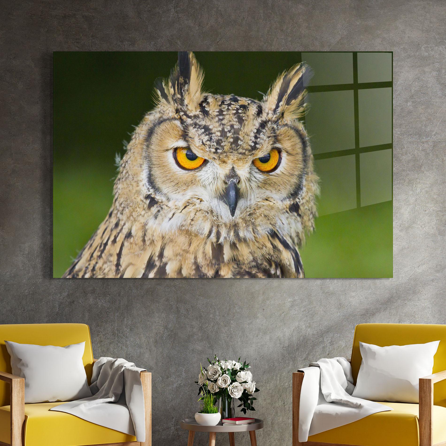 Tablou Sticla Angry Owl mockup 4