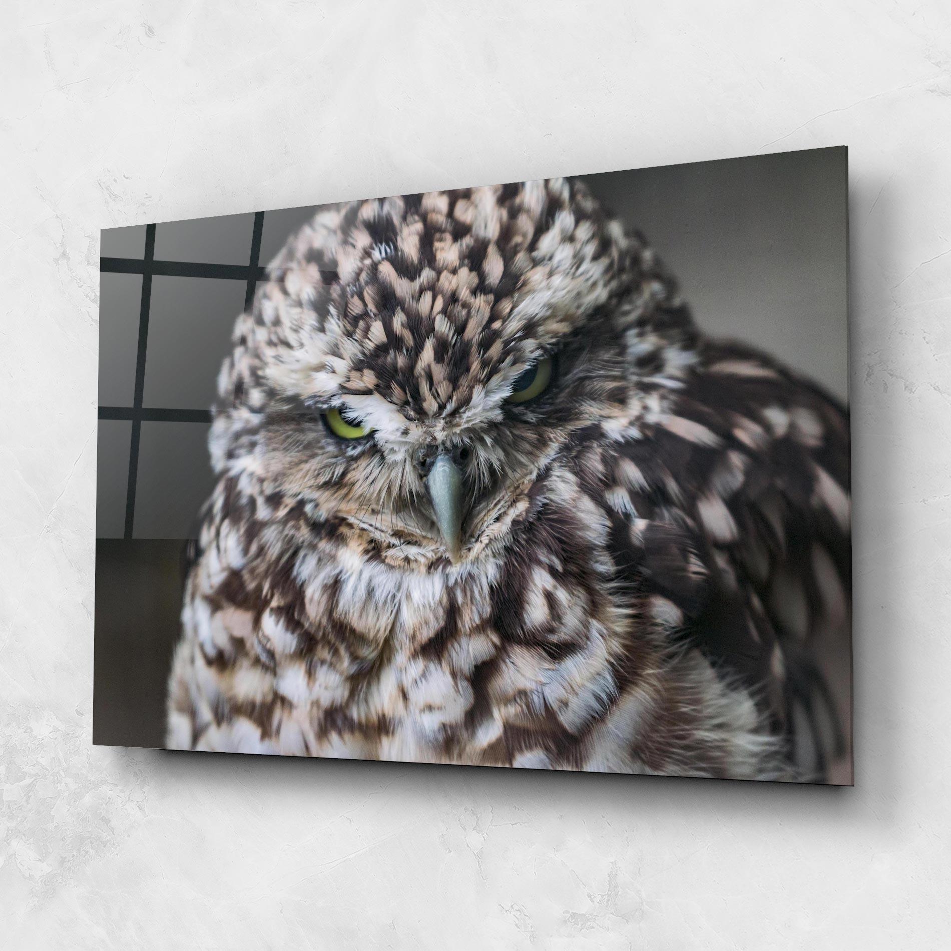 Tablou Sticla Angry Little Owl mockup 1