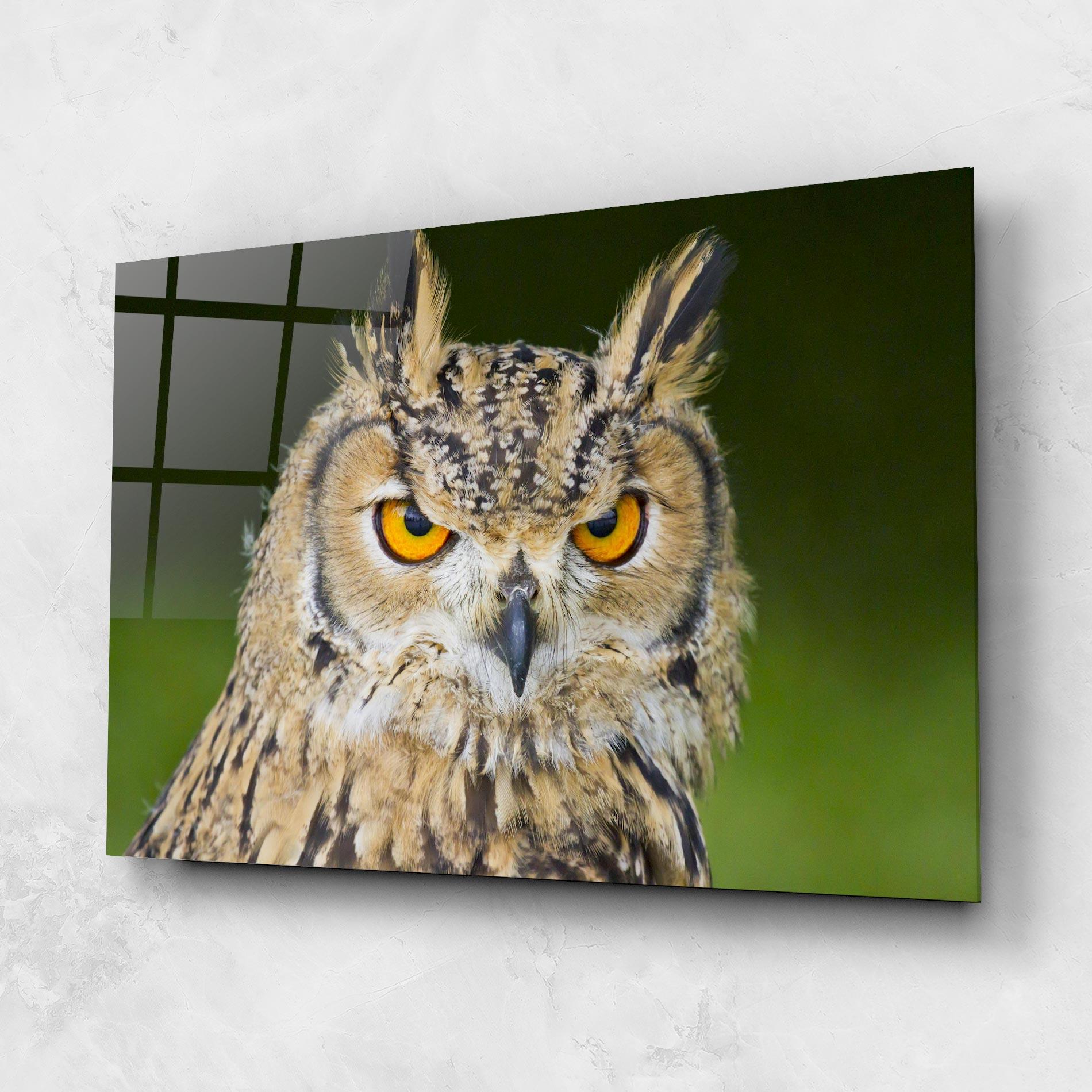 Tablou Sticla Angry Owl mockup 1