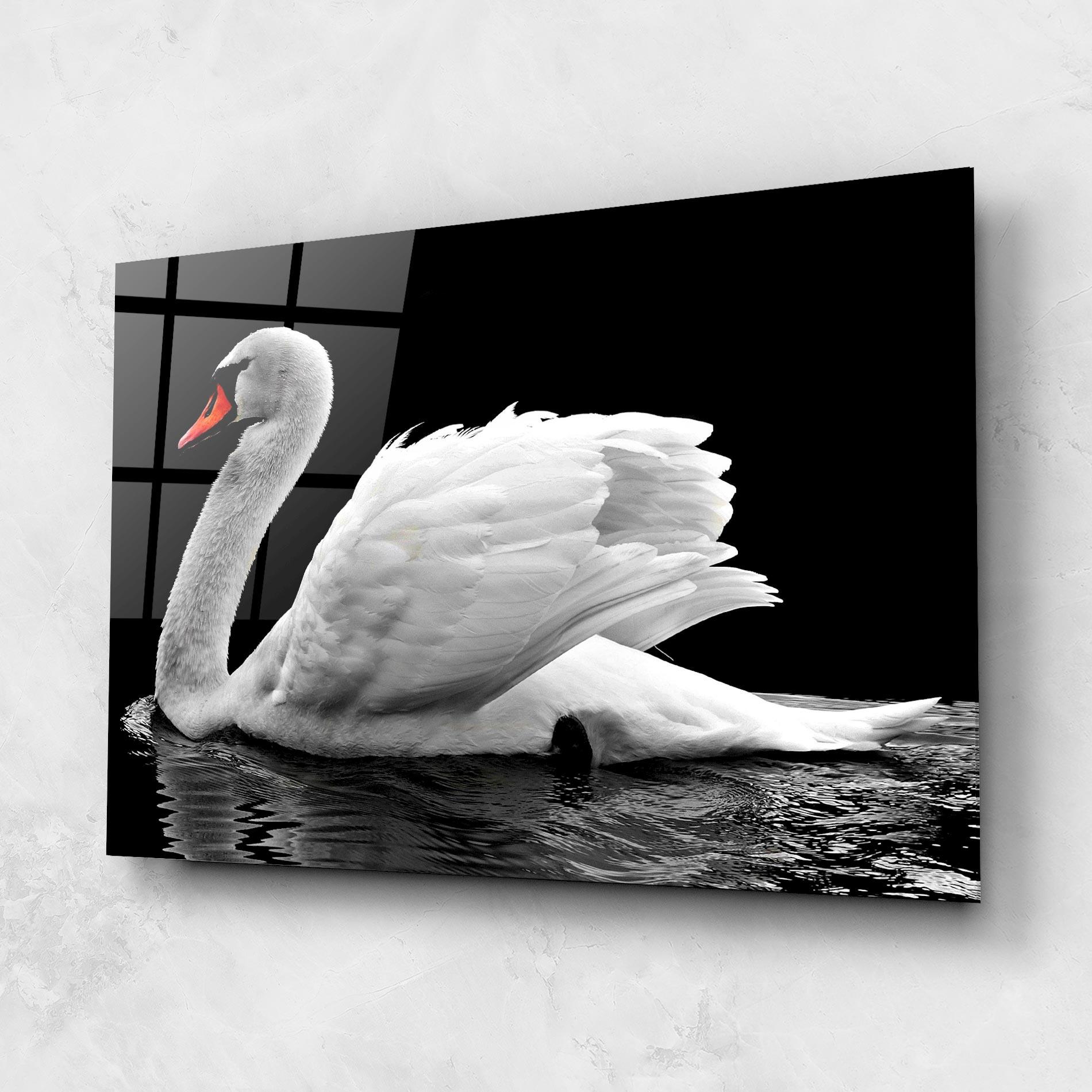 Tablou Sticla Black And White Swan mockup 1