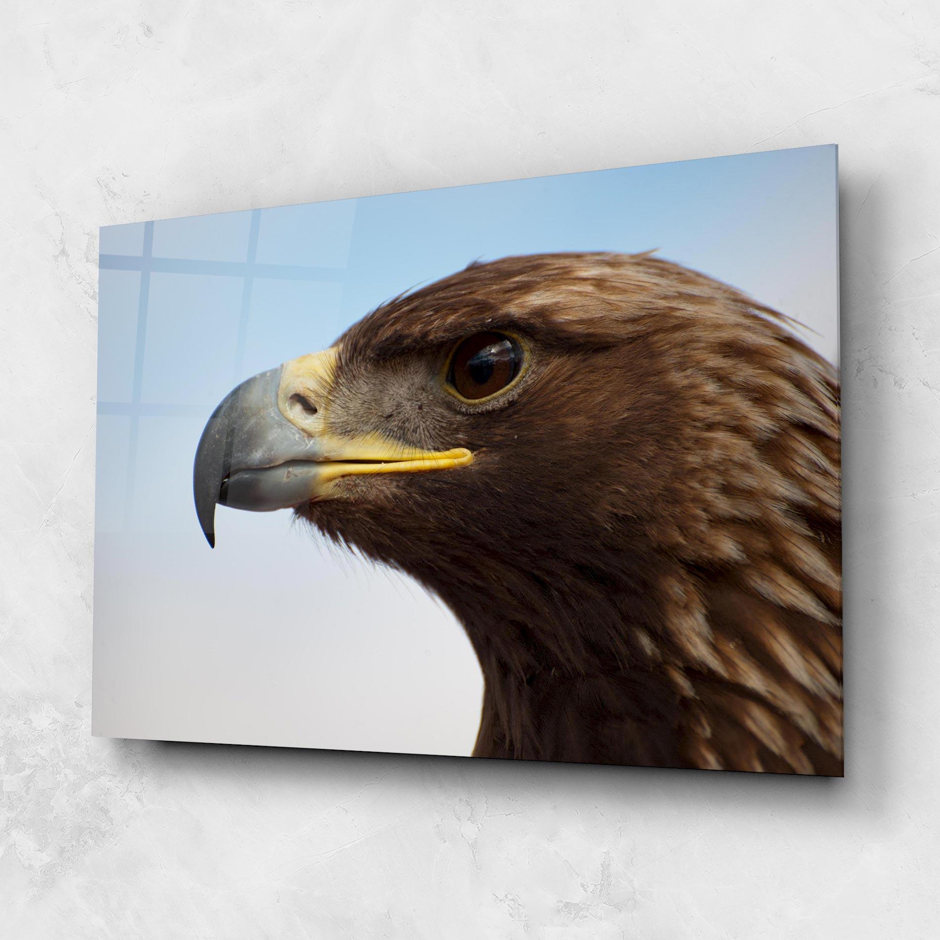 Tablou Sticla Brown Head Eagle mockup 1