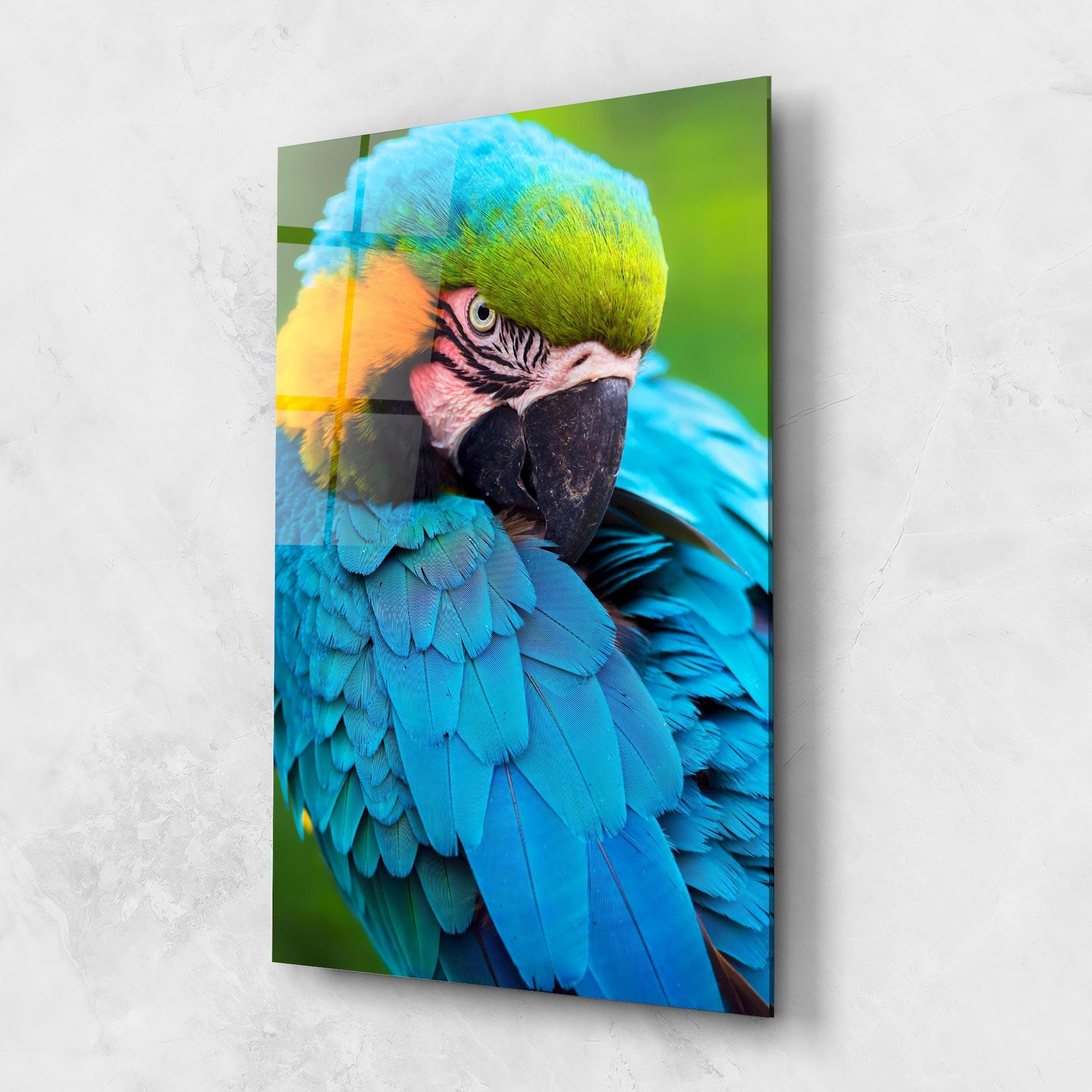 Tablou Sticla Blue Parrot mockup 1