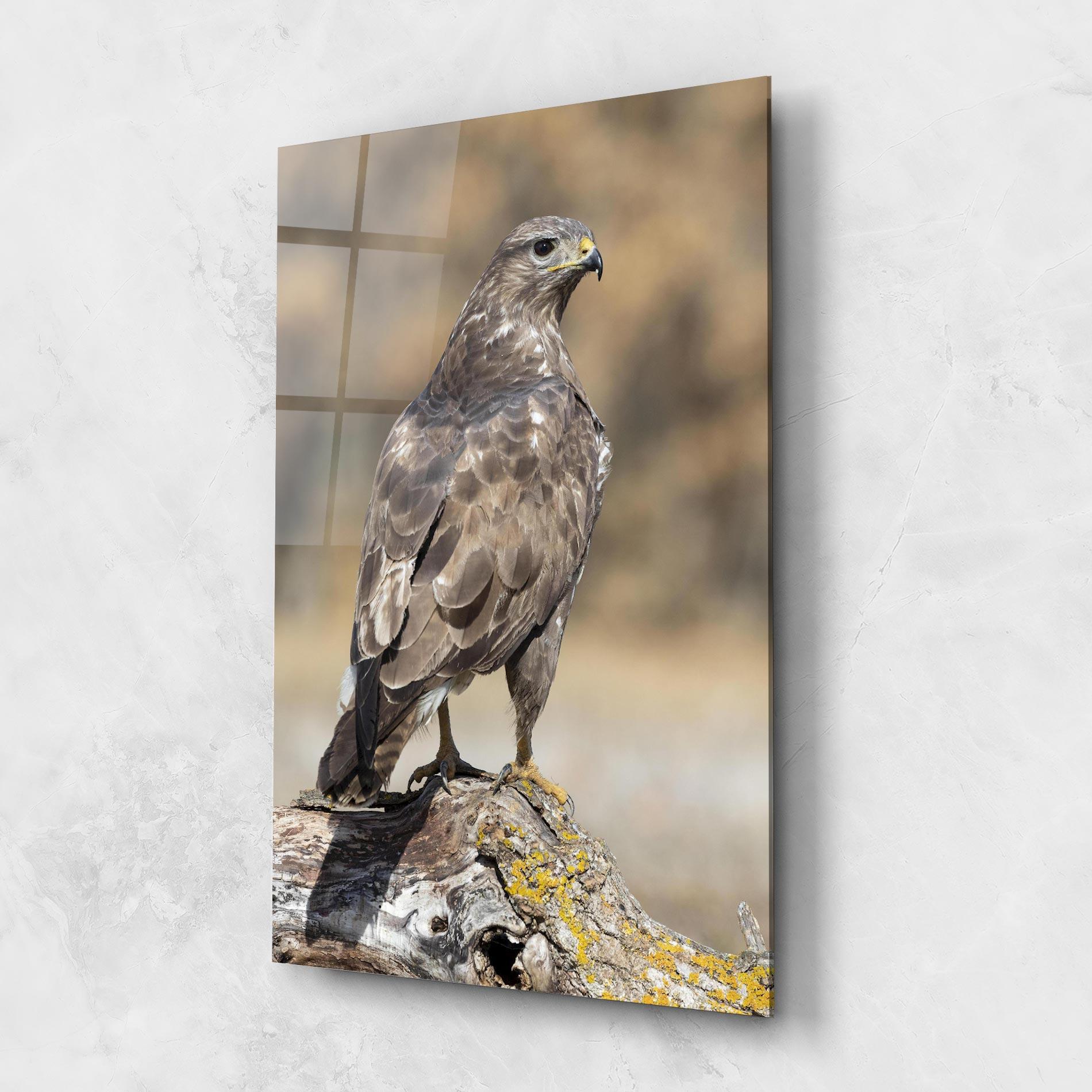 Tablou Sticla Eagle Nature mockup 1