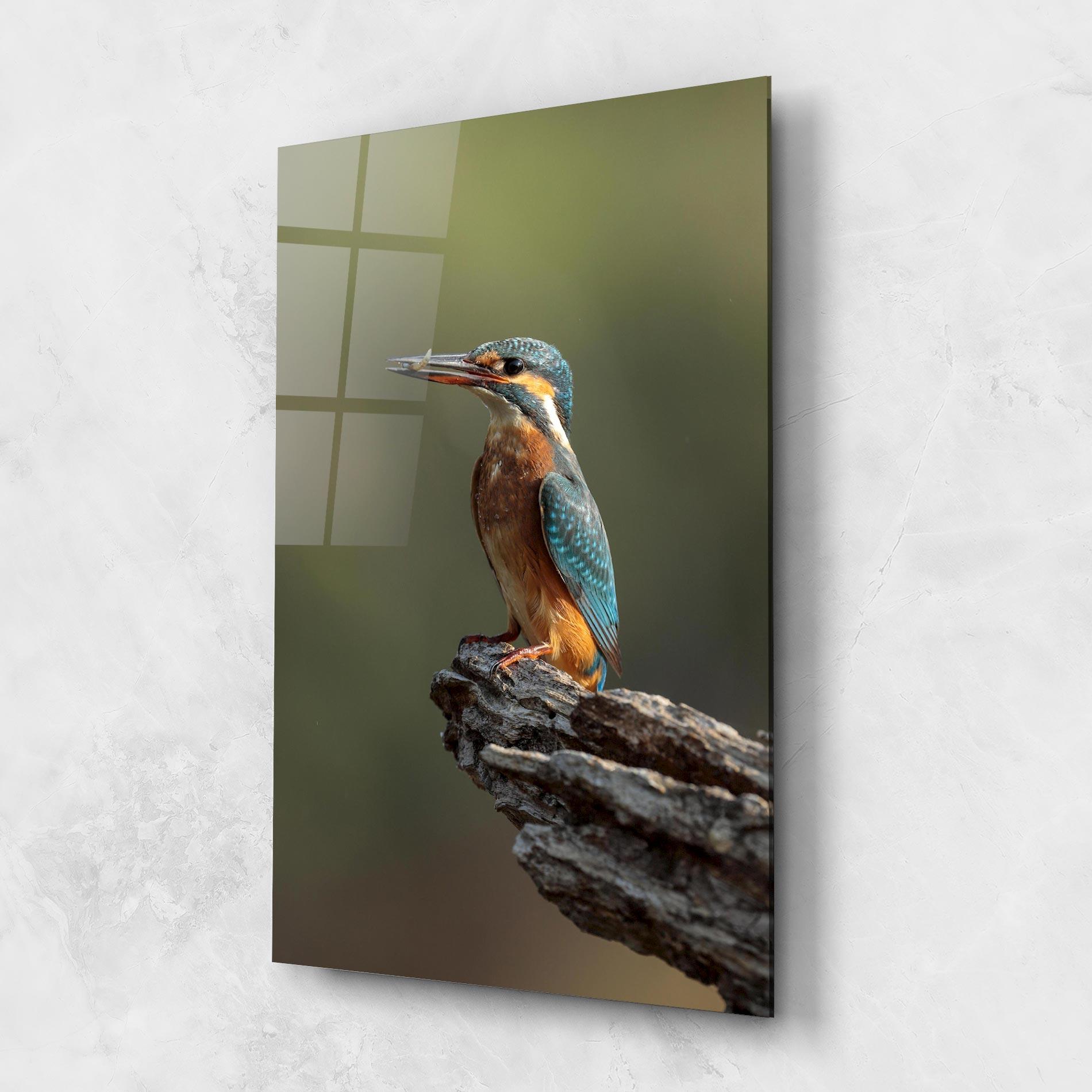 Tablou Sticla Female Kingfisher mockup 1