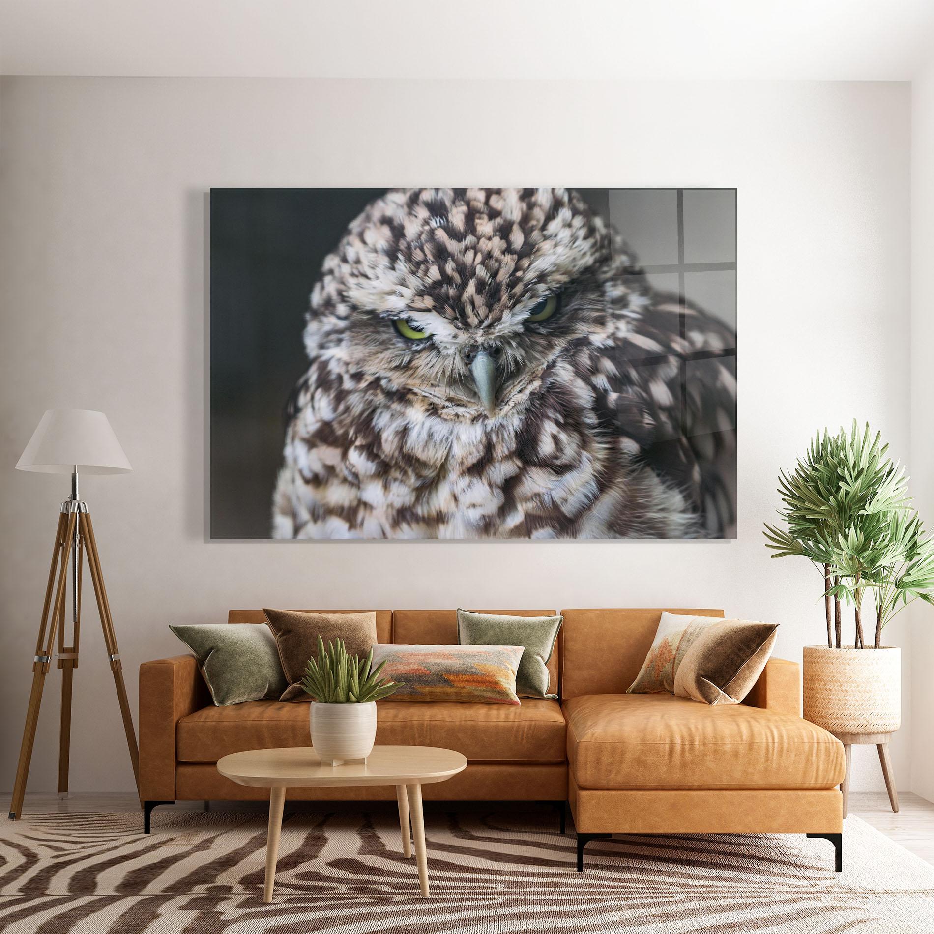 Tablou Sticla Angry Little Owl mockup 7