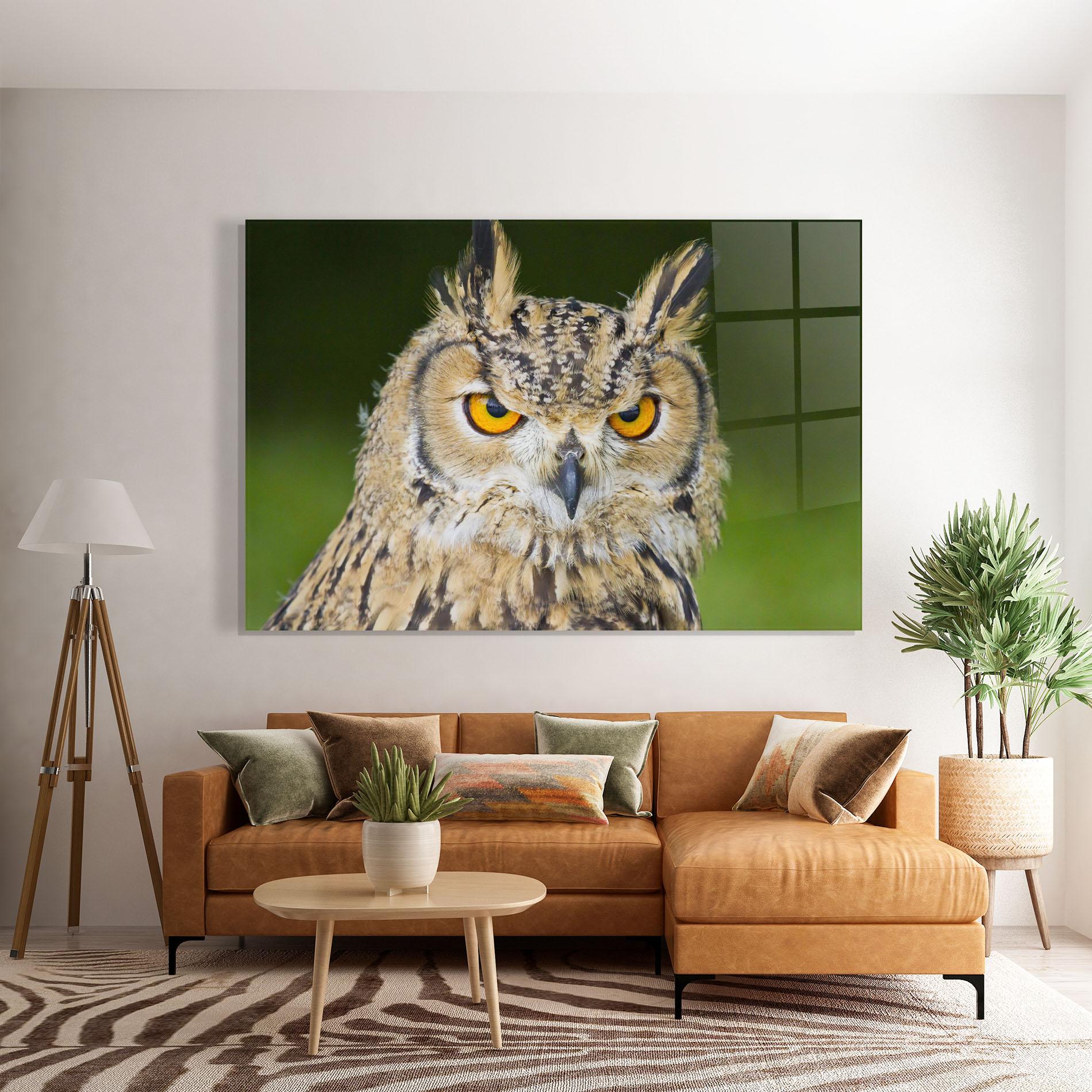 Tablou Sticla Angry Owl mockup 7