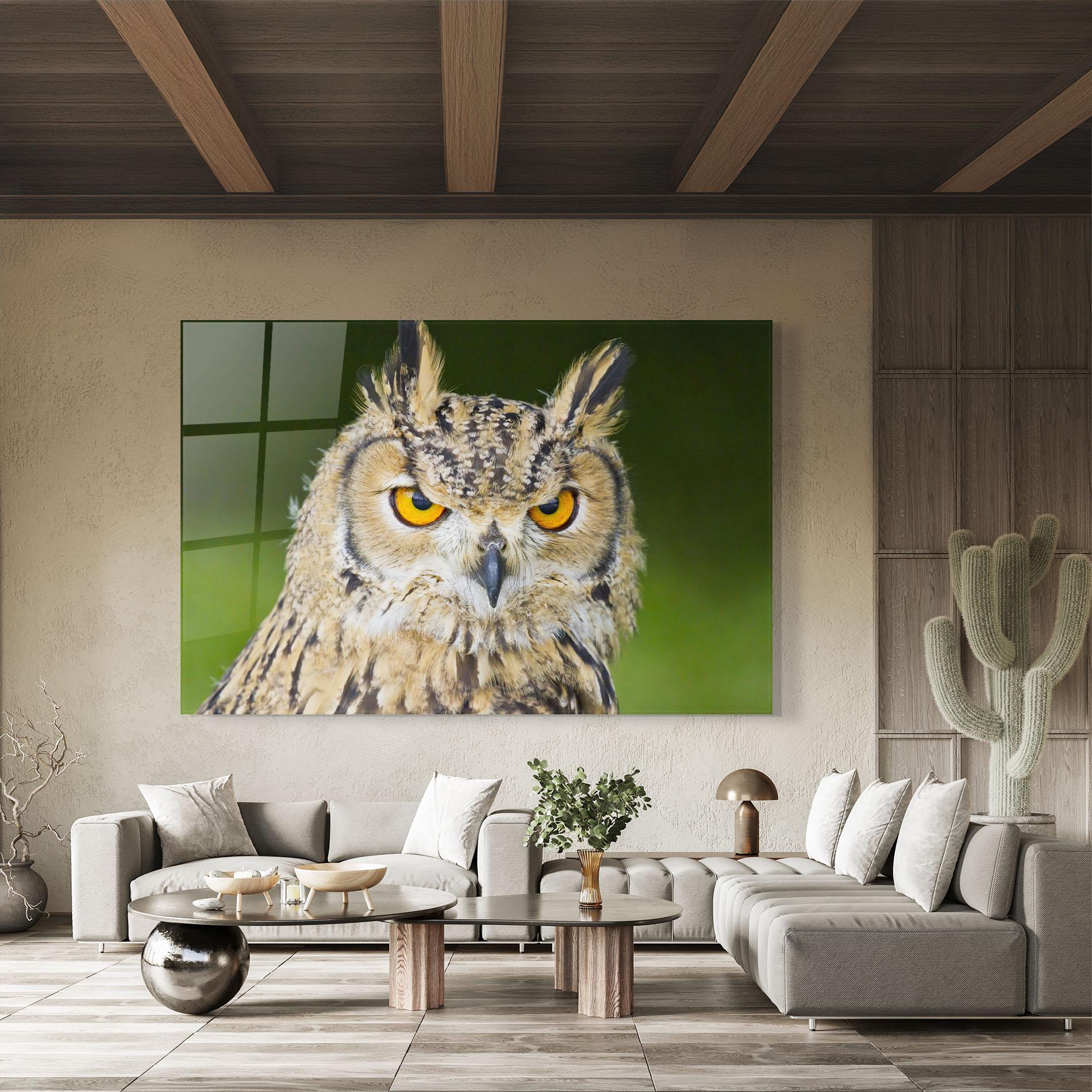 Tablou Sticla Angry Owl mockup 8
