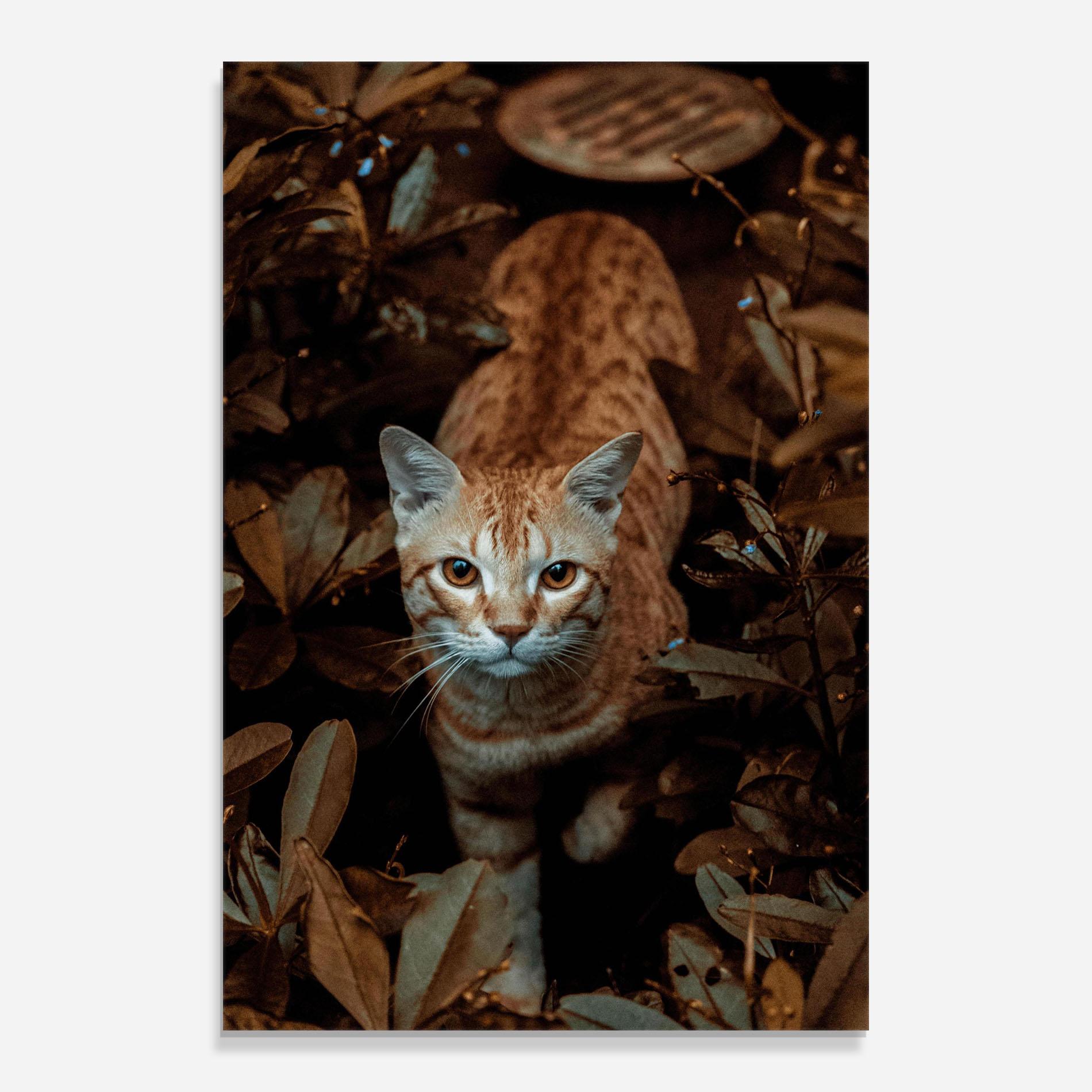 Tablou Sticla Autumn Orange Cat mockup 0