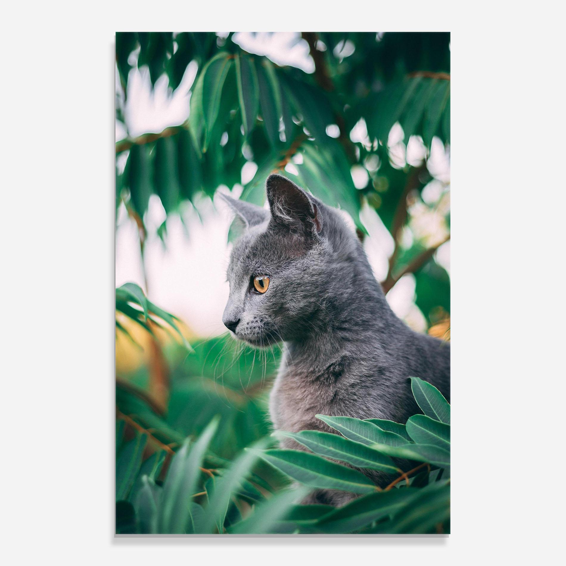 Tablou Sticla Cat Tree mockup 0