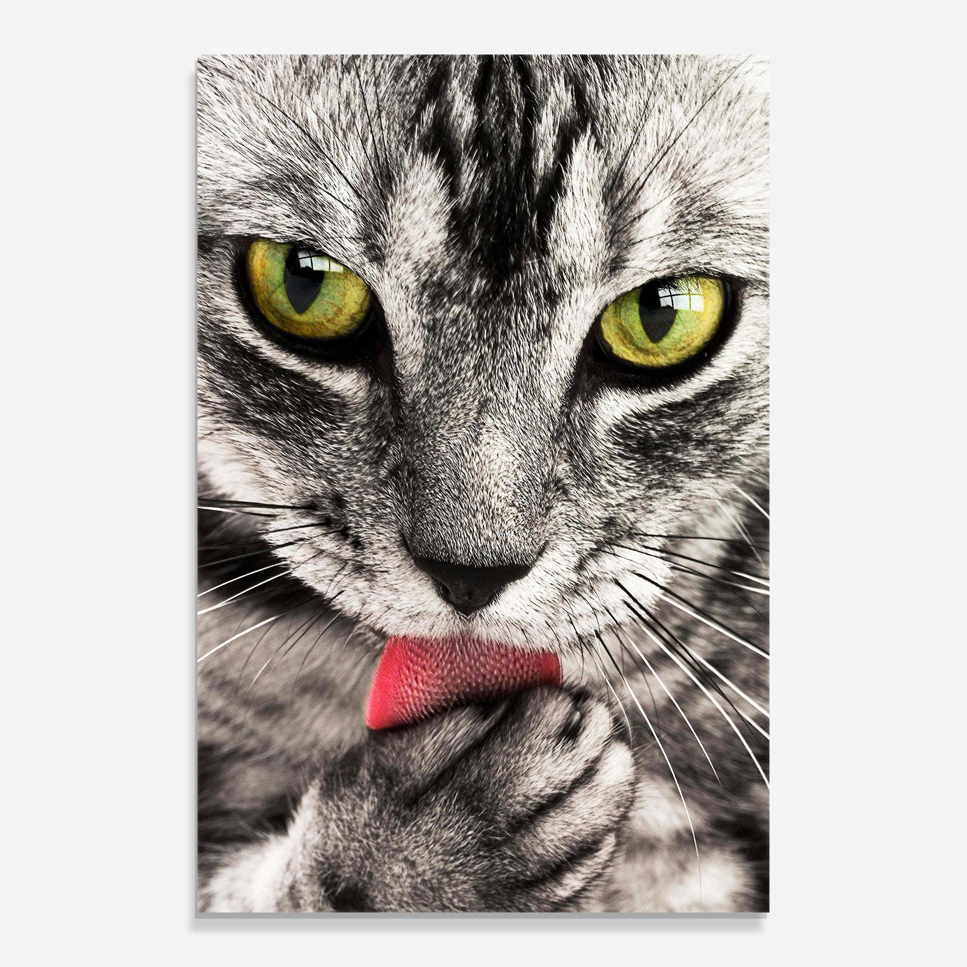 Tablou Sticla Green Eyes Close Up Cat mockup 0