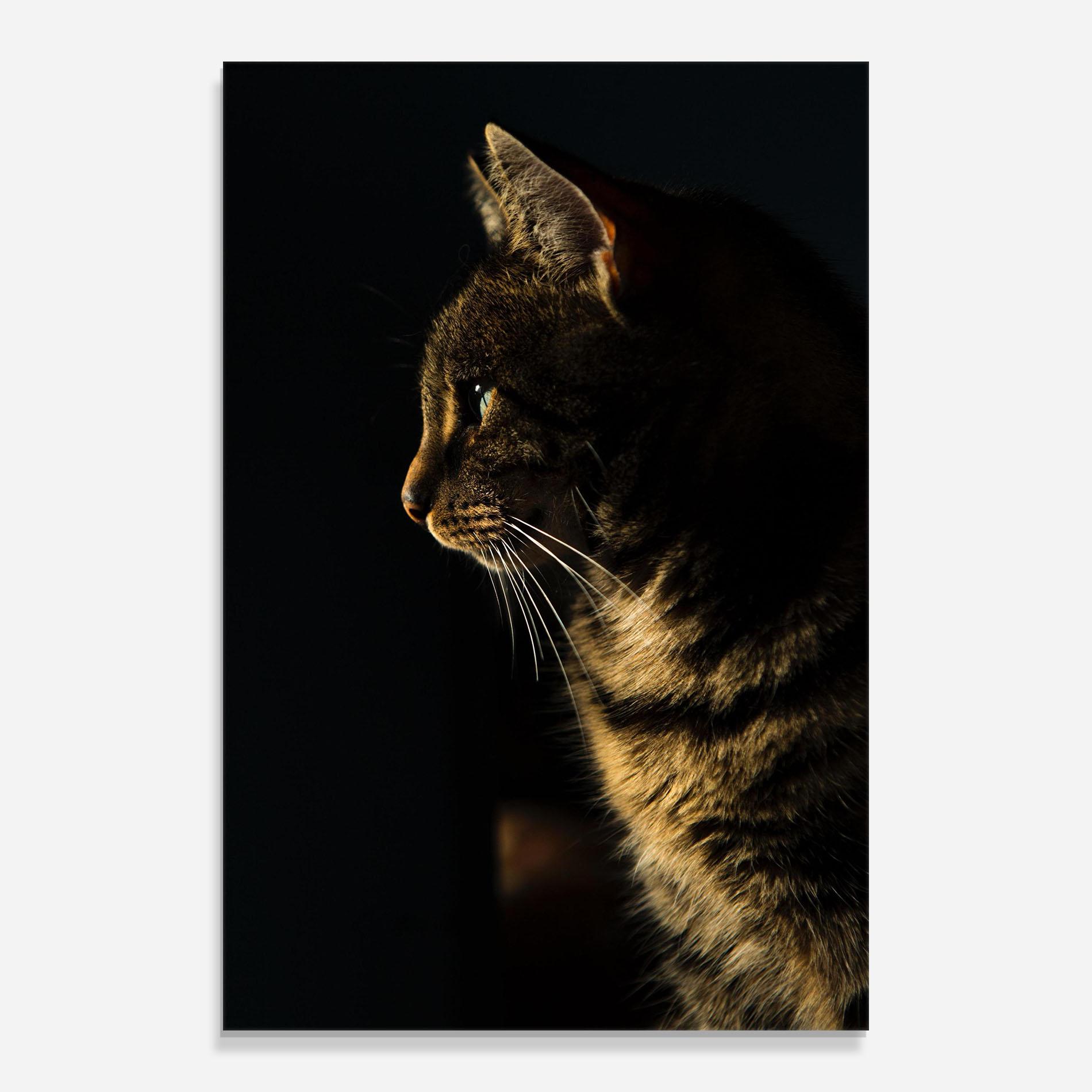 Tablou Sticla Hunting Cat mockup 0