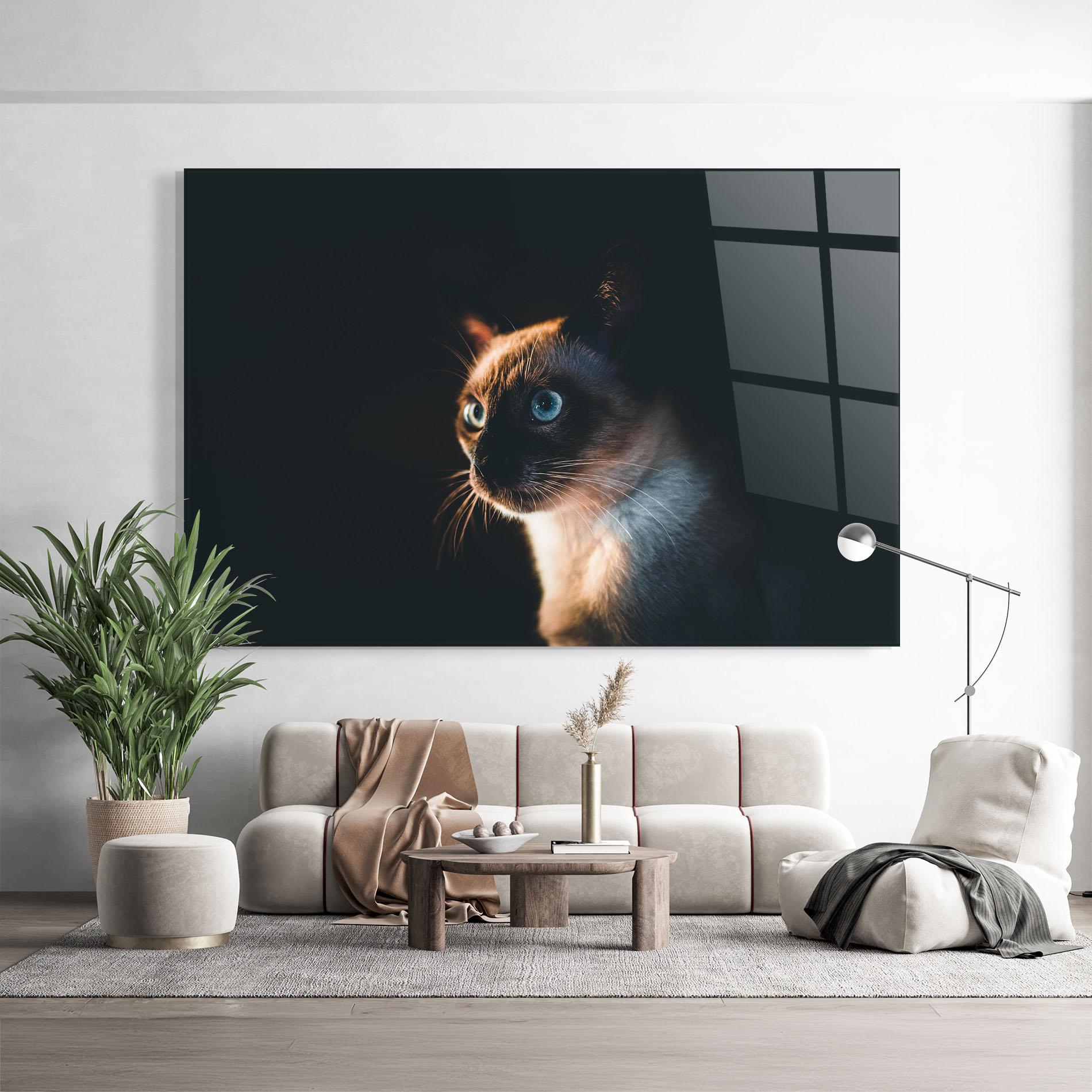 Tablou Sticla Blue Eyes Cat In Dark mockup 9