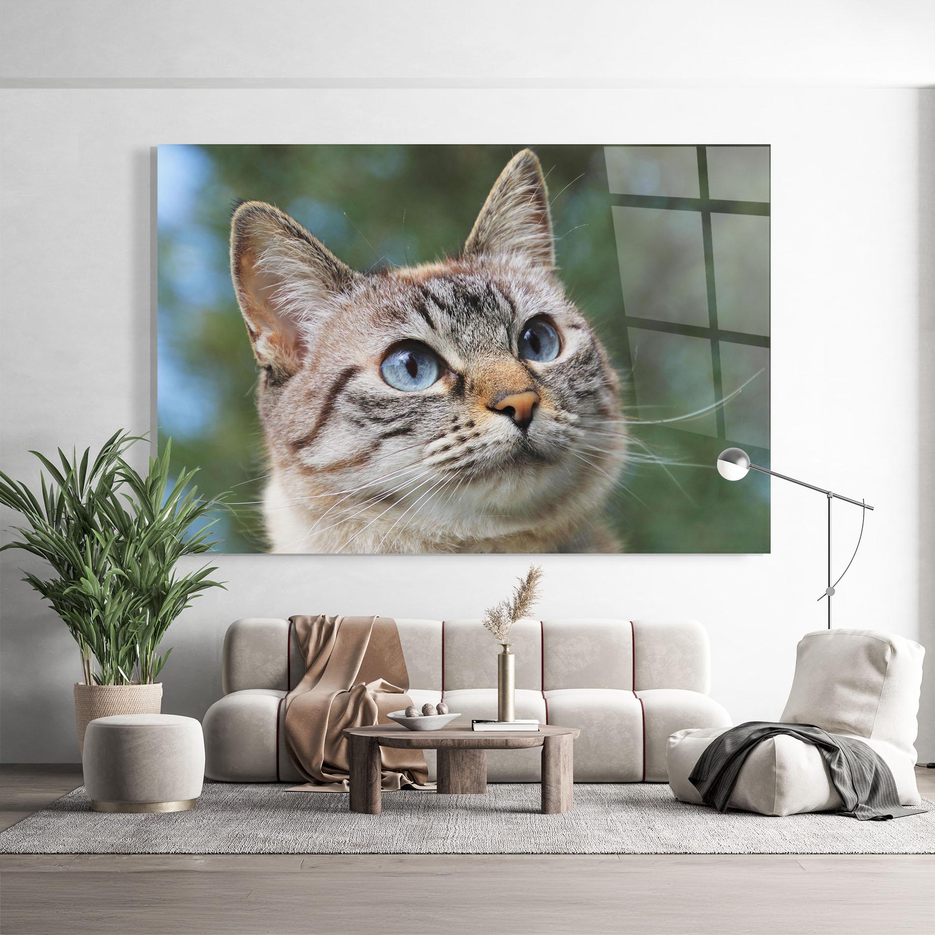 Tablou Sticla Blue Eyes Cutie mockup 9