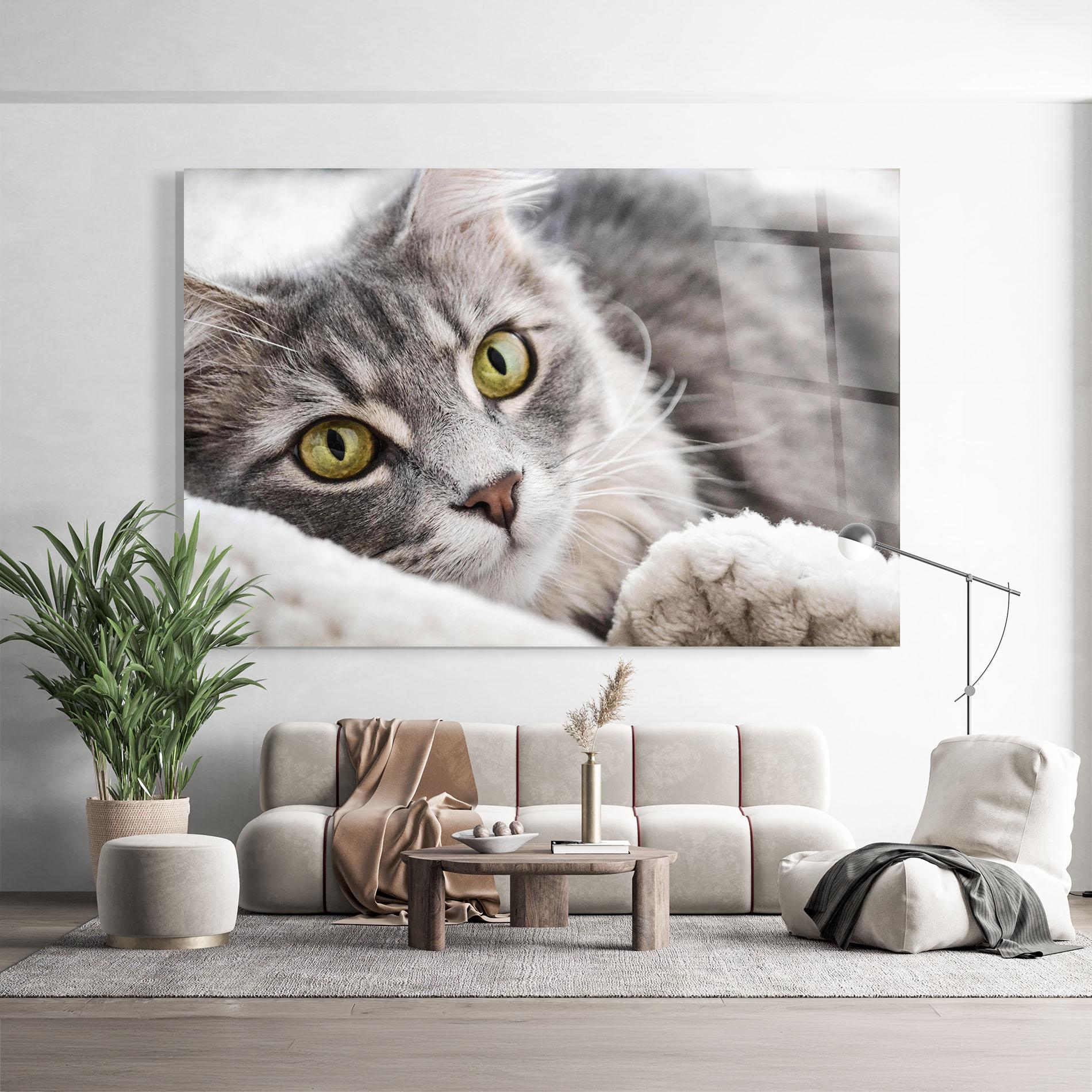 Tablou Sticla Grey Fluffy Cat mockup 9