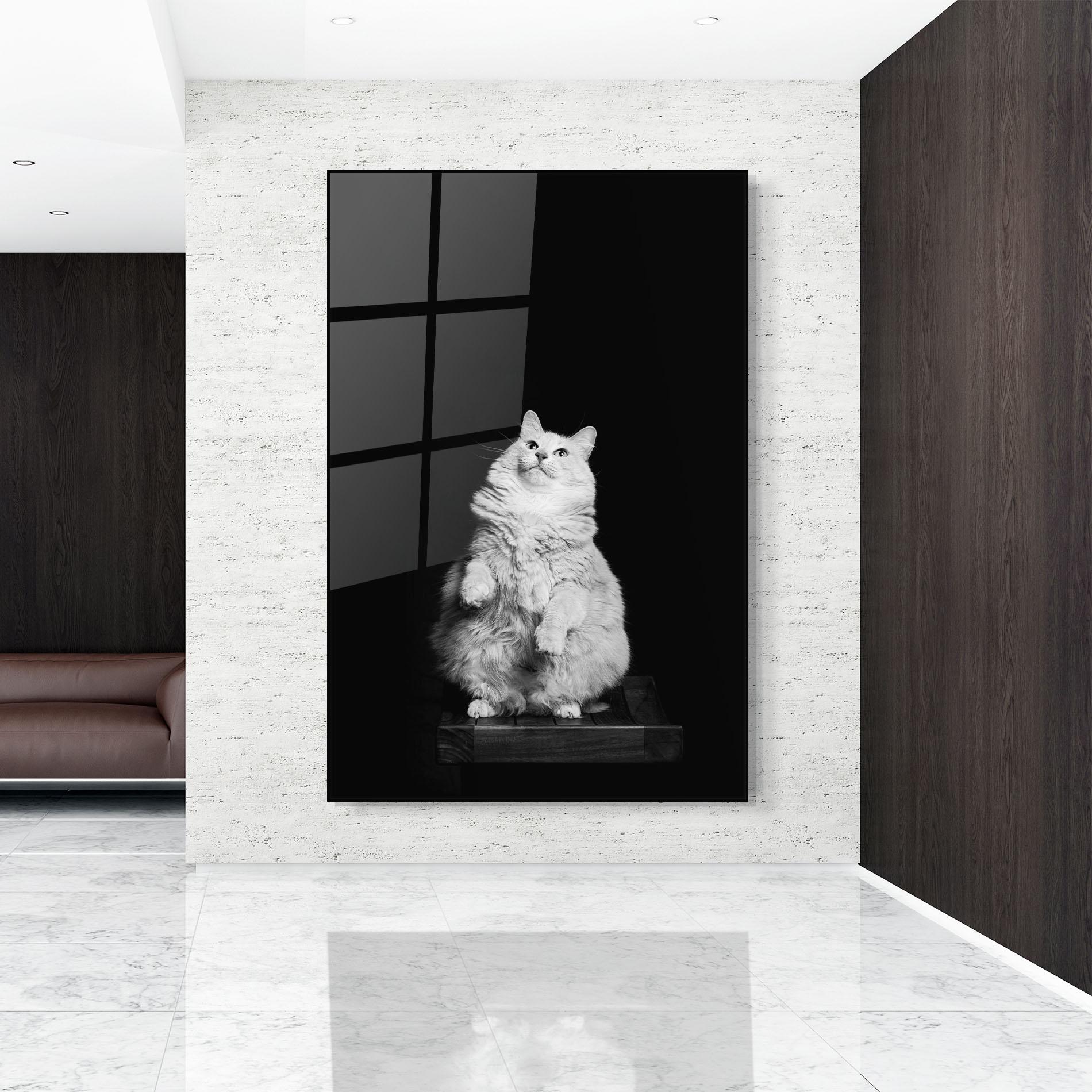 Tablou Sticla Big Fluffy Cat mockup 9