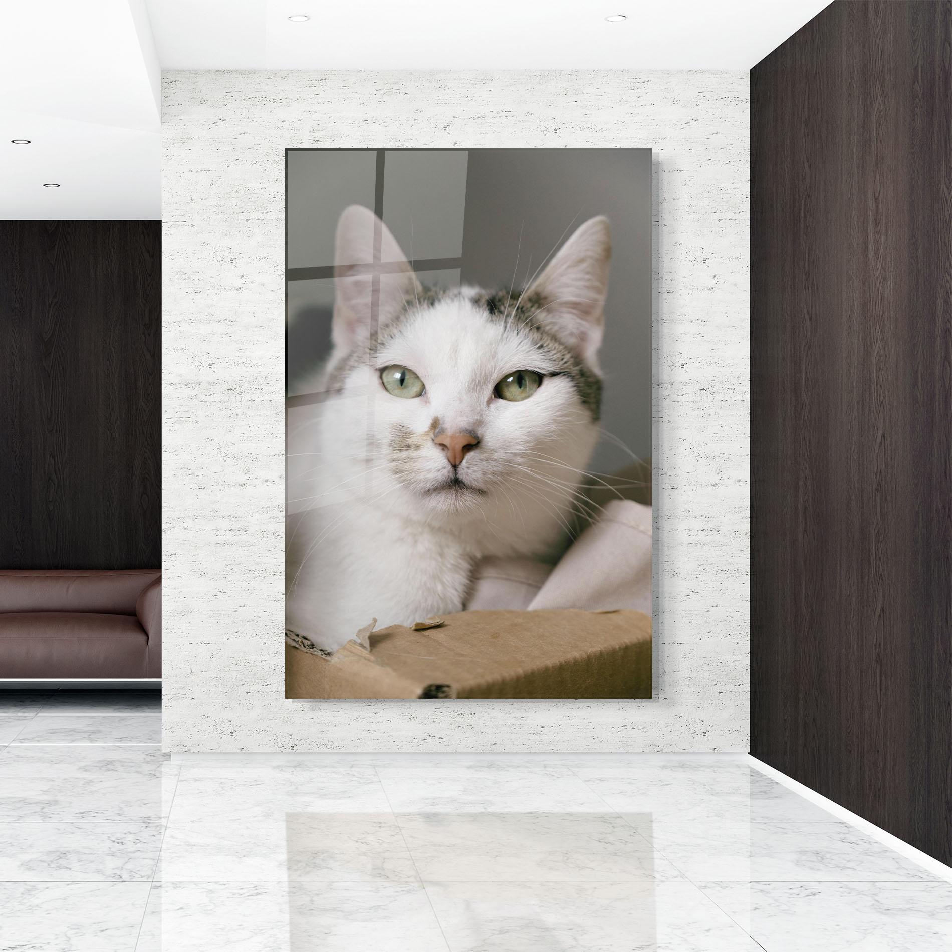 Tablou Sticla Big Sleepy Cat mockup 9