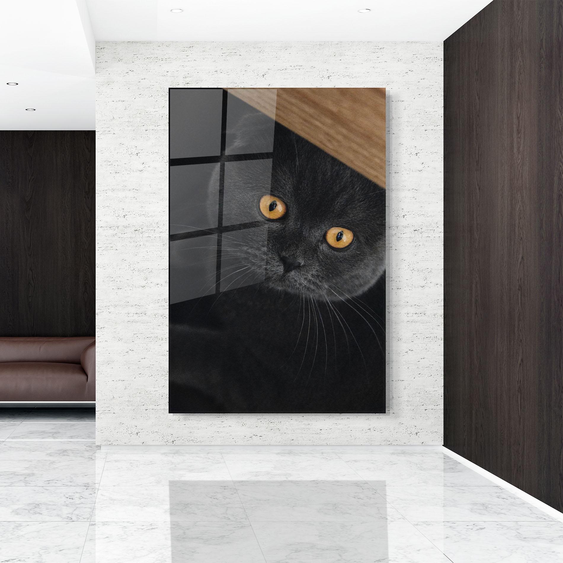 Tablou Sticla Grey Cat With Orange Eyes mockup 9