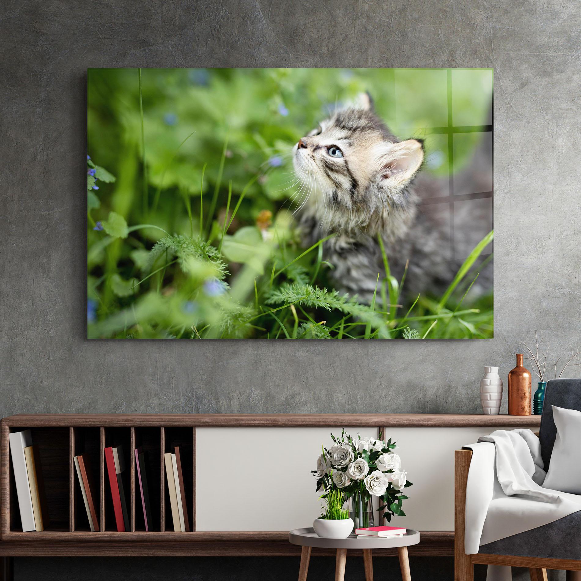 Tablou Sticla Brown Baby Cat mockup 2