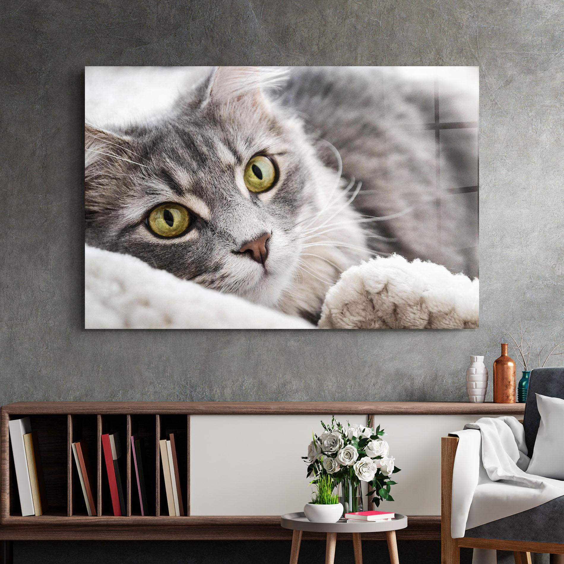 Tablou Sticla Grey Fluffy Cat mockup 2